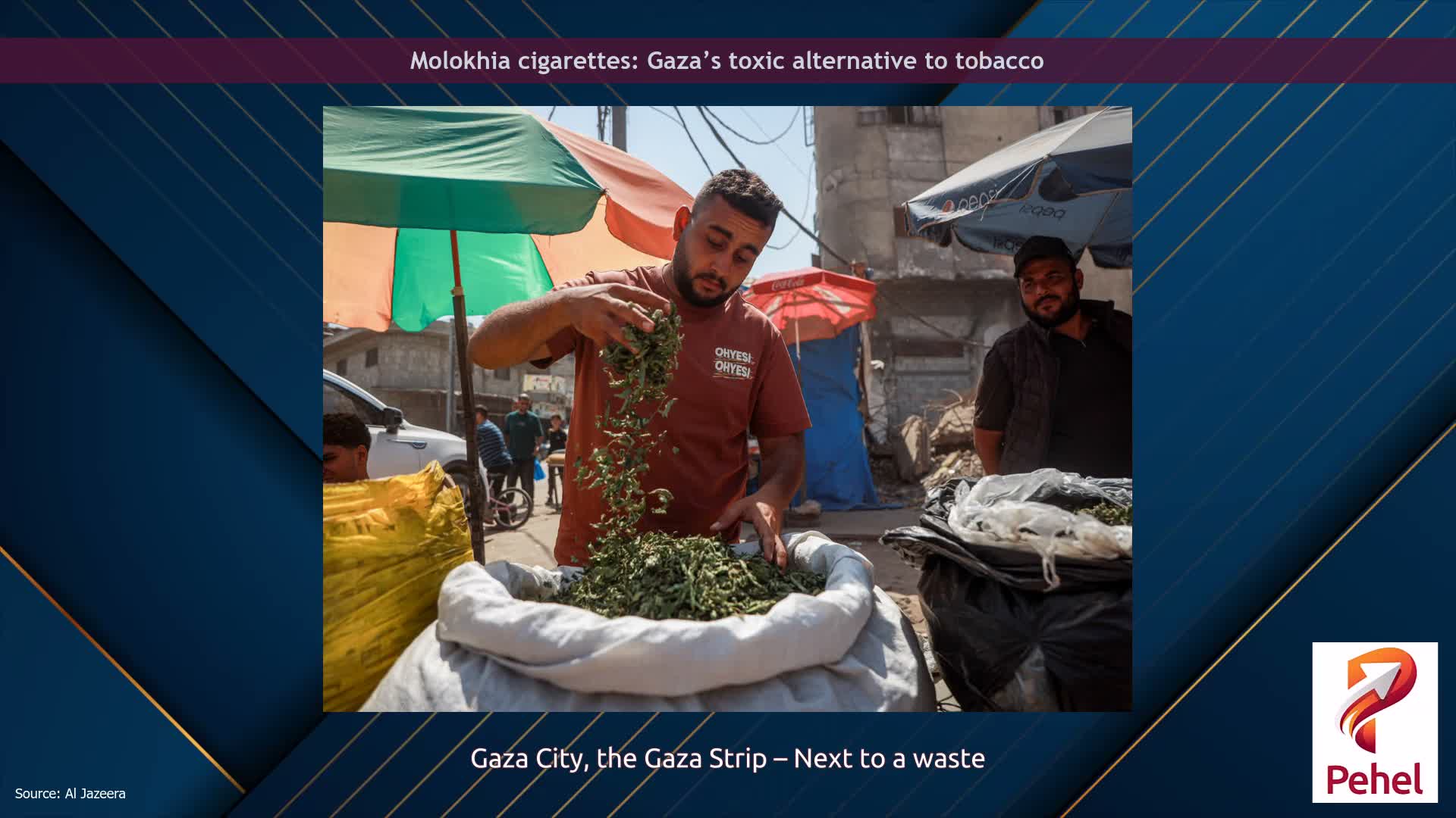 Molokhia cigarettes: Gaza’s toxic alternative to tobacco
