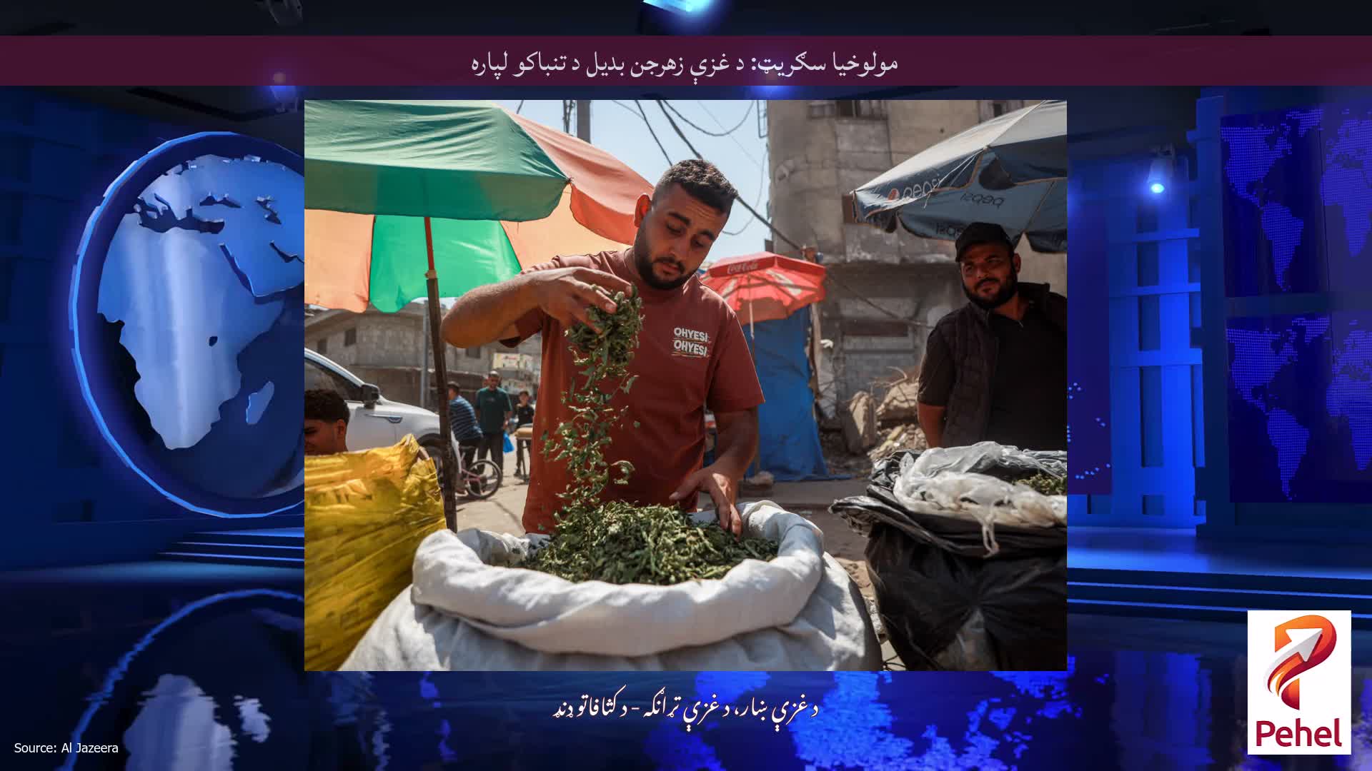 مولوخیا سګریټ: د غزې زهرجن بدیل د تنباکو لپاره