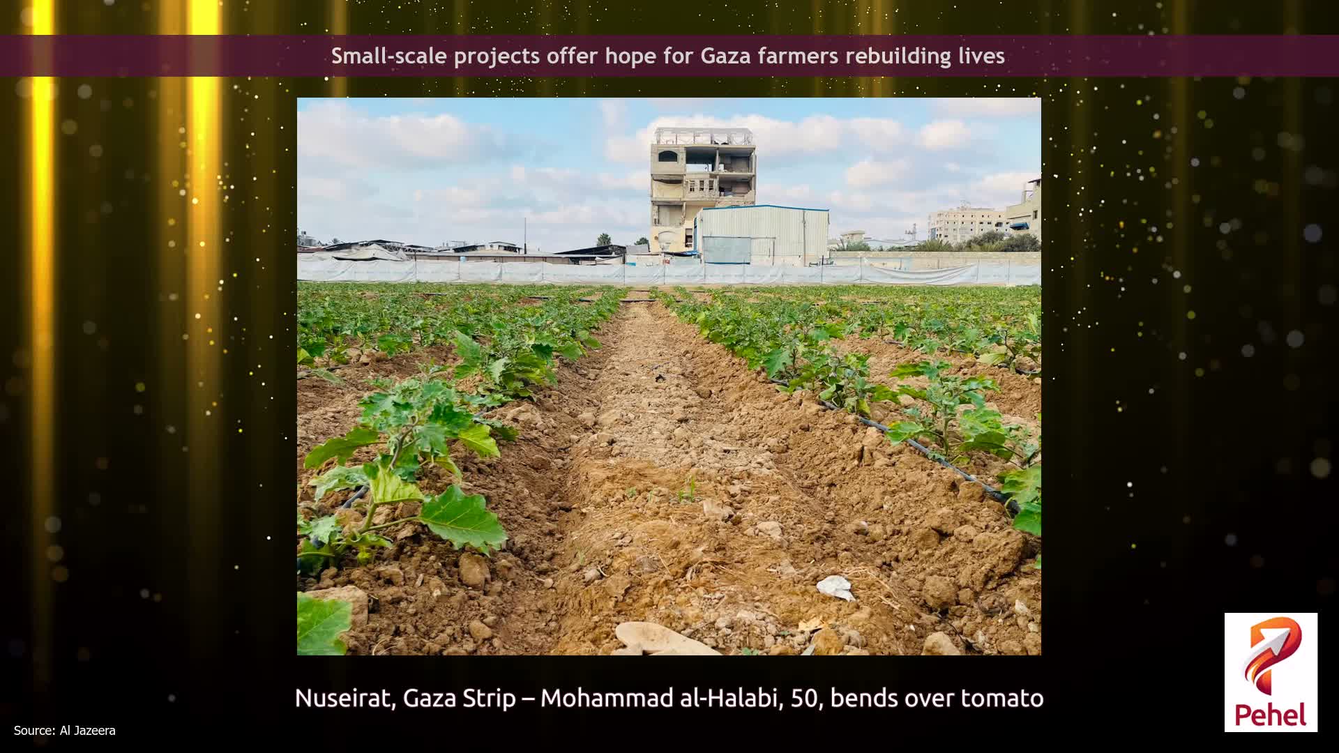 Small-scale projects offer hope for Gaza farmers rebuilding lives