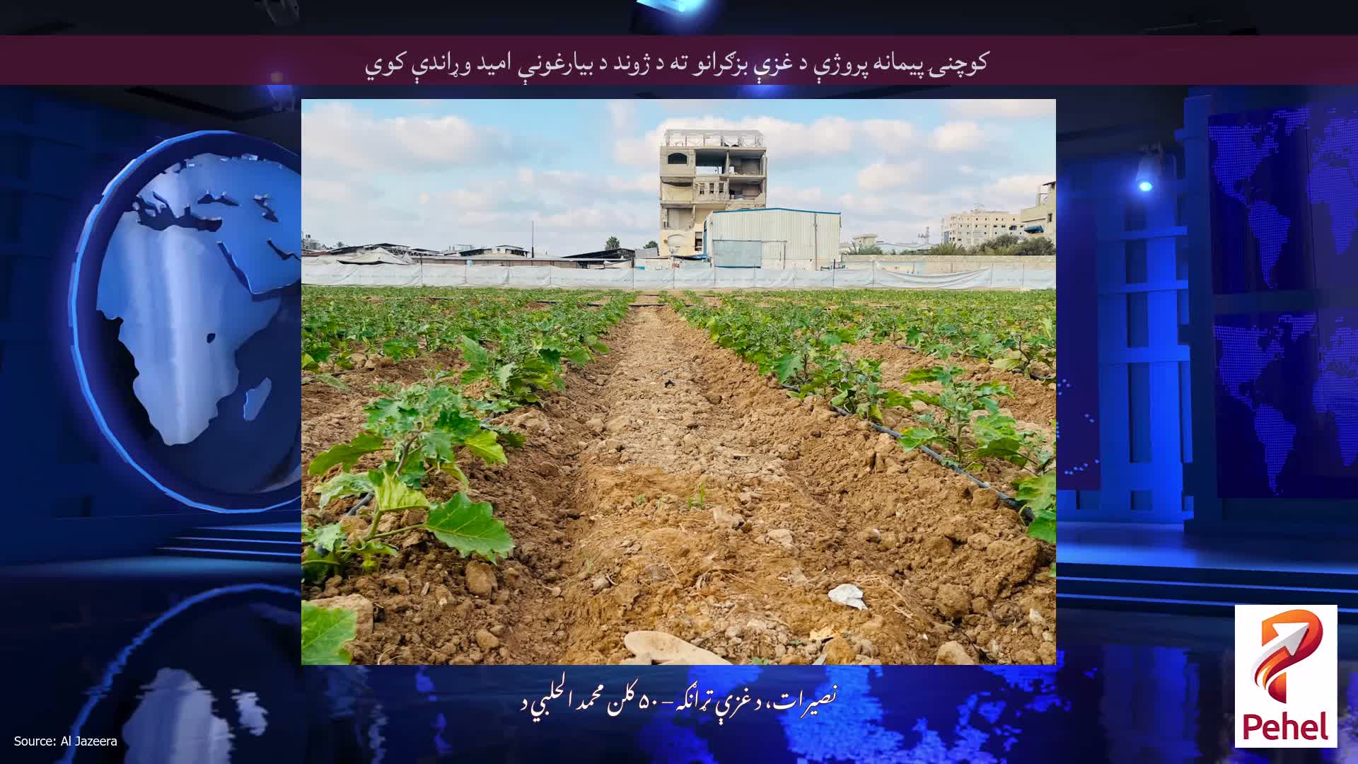 کوچنۍ پیمانه پروژې د غزې بزګرانو ته د ژوند د بیارغونې امید وړاندې کوي