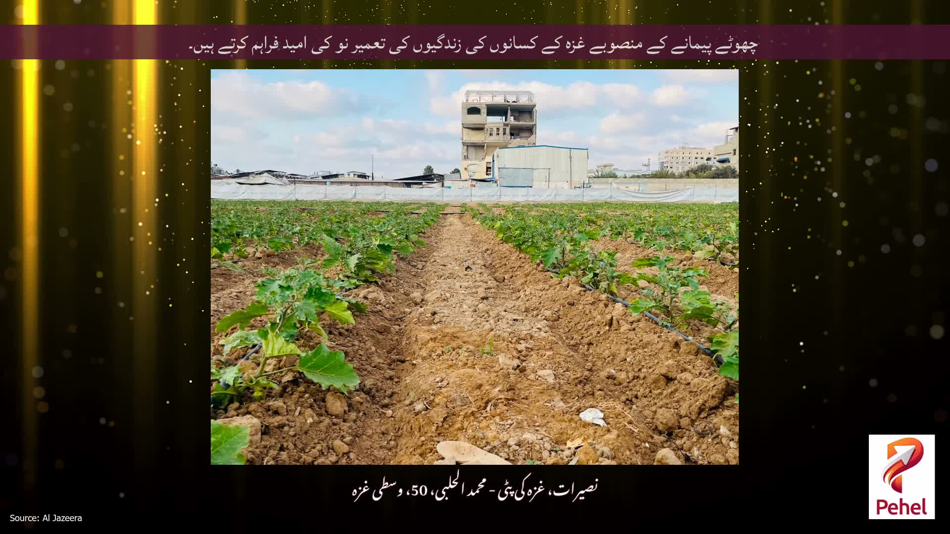چھوٹے پیمانے کے منصوبے غزہ کے کسانوں کی زندگیوں کی تعمیر نو کی امید فراہم کرتے ہیں۔