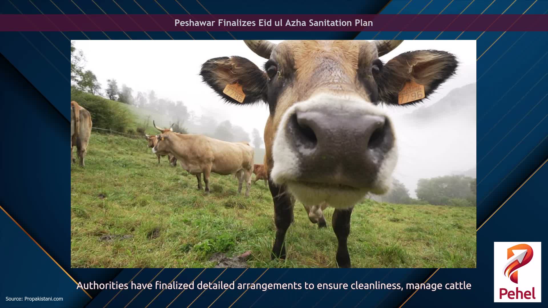 Peshawar Finalizes Eid ul Azha Sanitation Plan