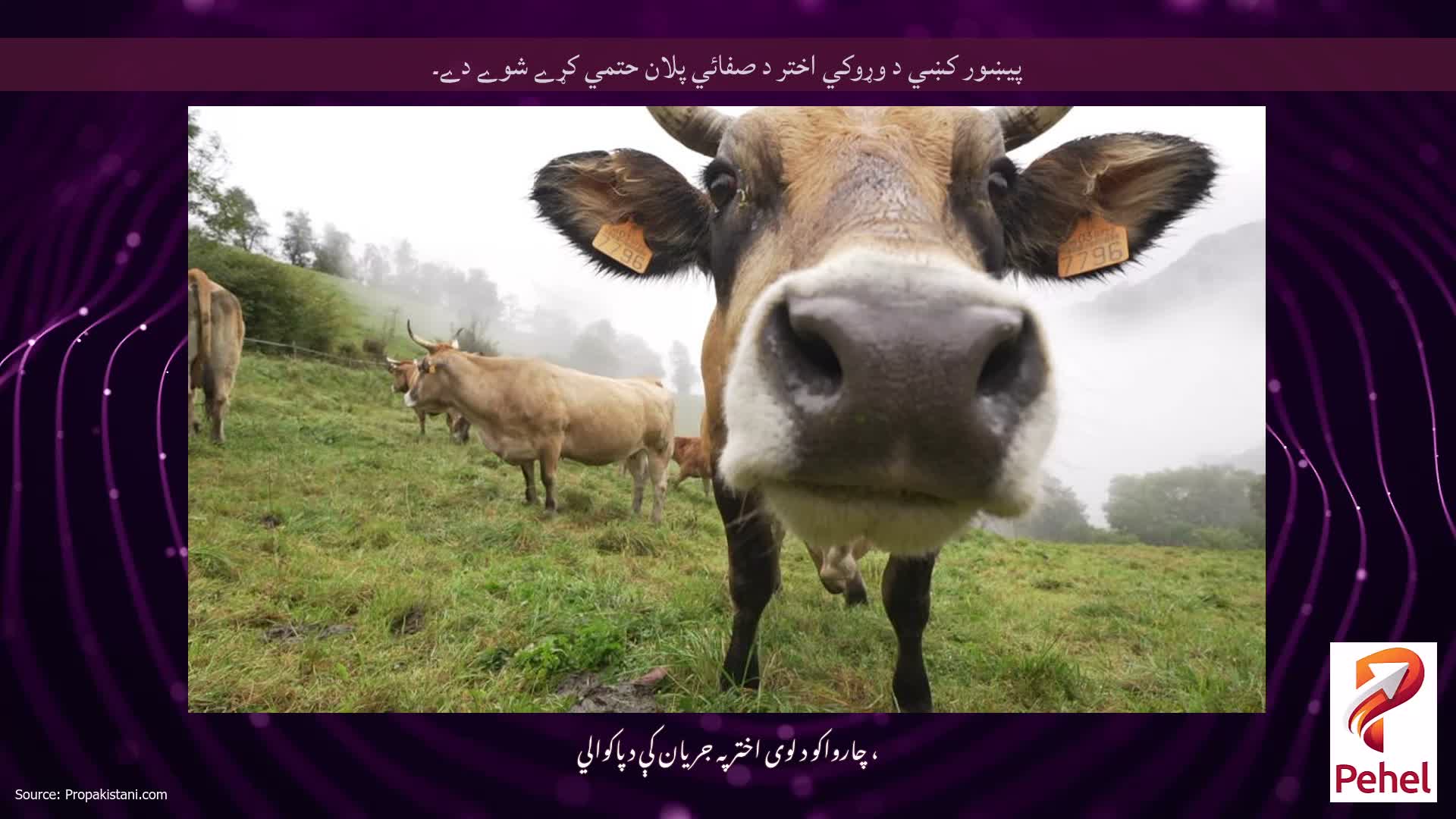 پيښور کښي د وړوکي اختر د صفائي پلان حتمي کړے شوے دے۔