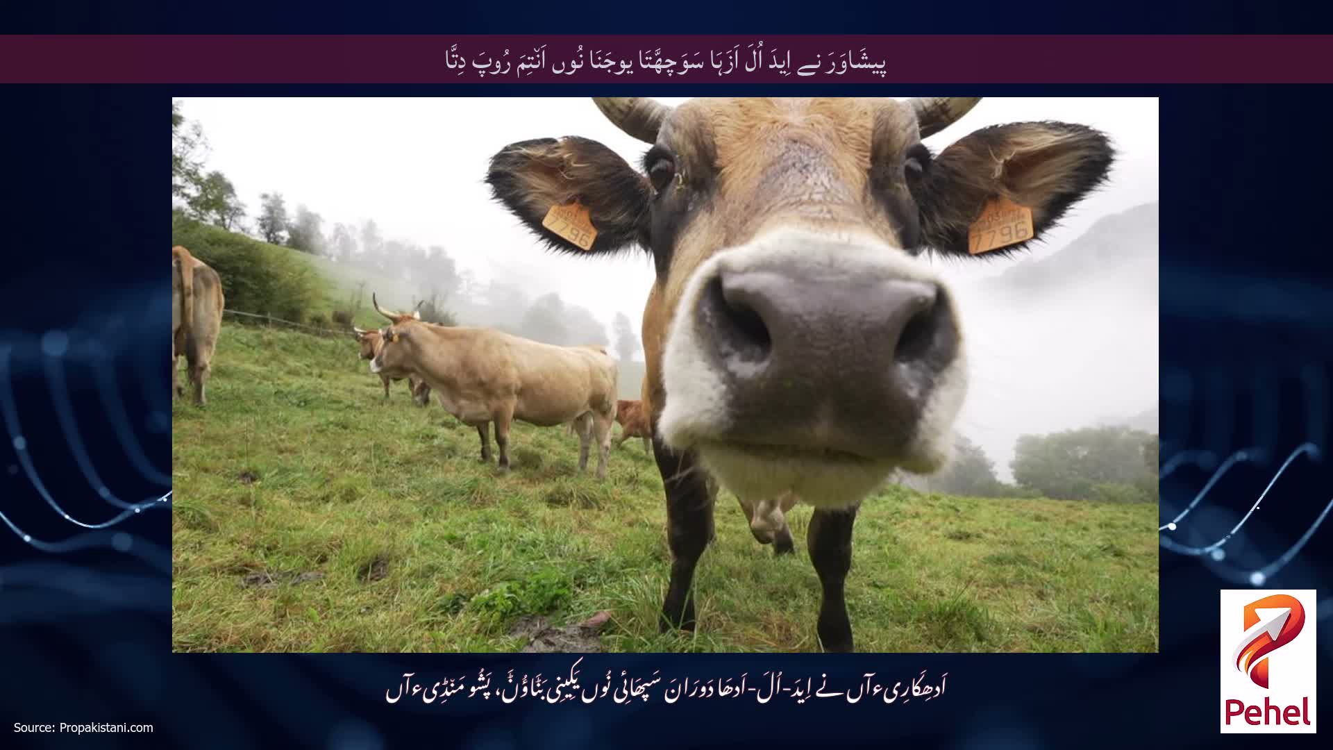 پیشَاوَرَ نے اِیدَ اُلَ اَزَہَا سَوَچھَّتَا یوجَنَا نُوں اَن٘تِمَ رُوپَ دِتَّا