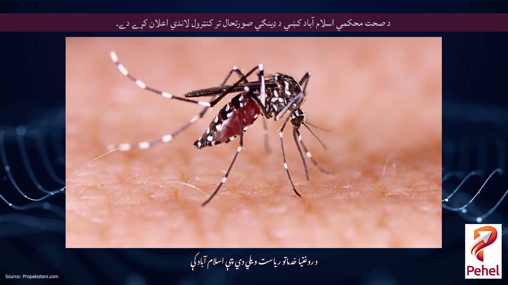 د صحت محکمي اسلام آباد کښي د ډينګي صورتحال تر کنټرول لاندي اعلان کړے دے۔