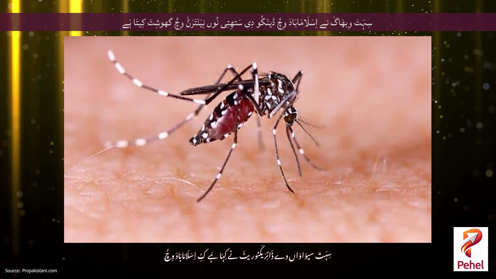 سِہَتَ وِبھَاگَ نے اِسَلَامَابَادَ وِچَّ ڈین٘گُو دِی سَتھِتِی نُوں نِیَن٘تَرَݨَ وِچَّ گھوشِتَ کِیتَا ہَے