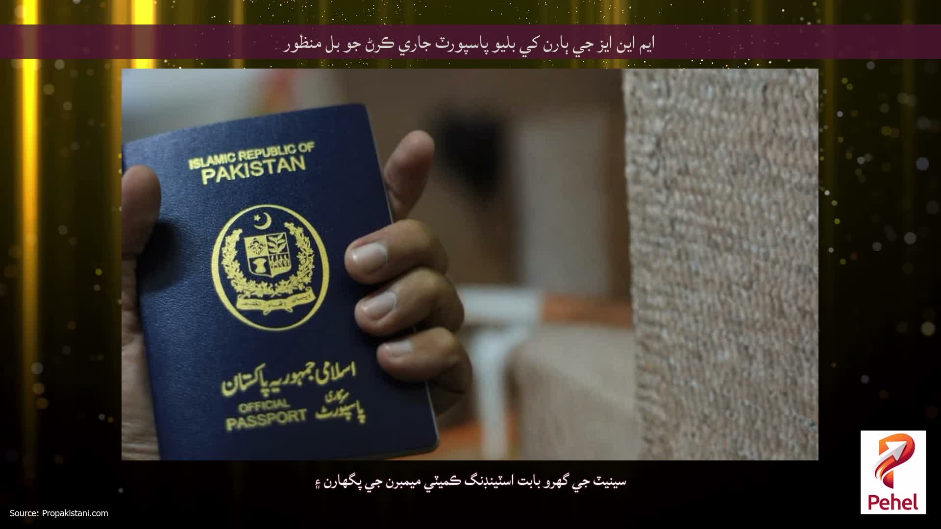 ايم اين ايز جي ٻارن کي بليو پاسپورٽ جاري ڪرڻ جو بل منظور
