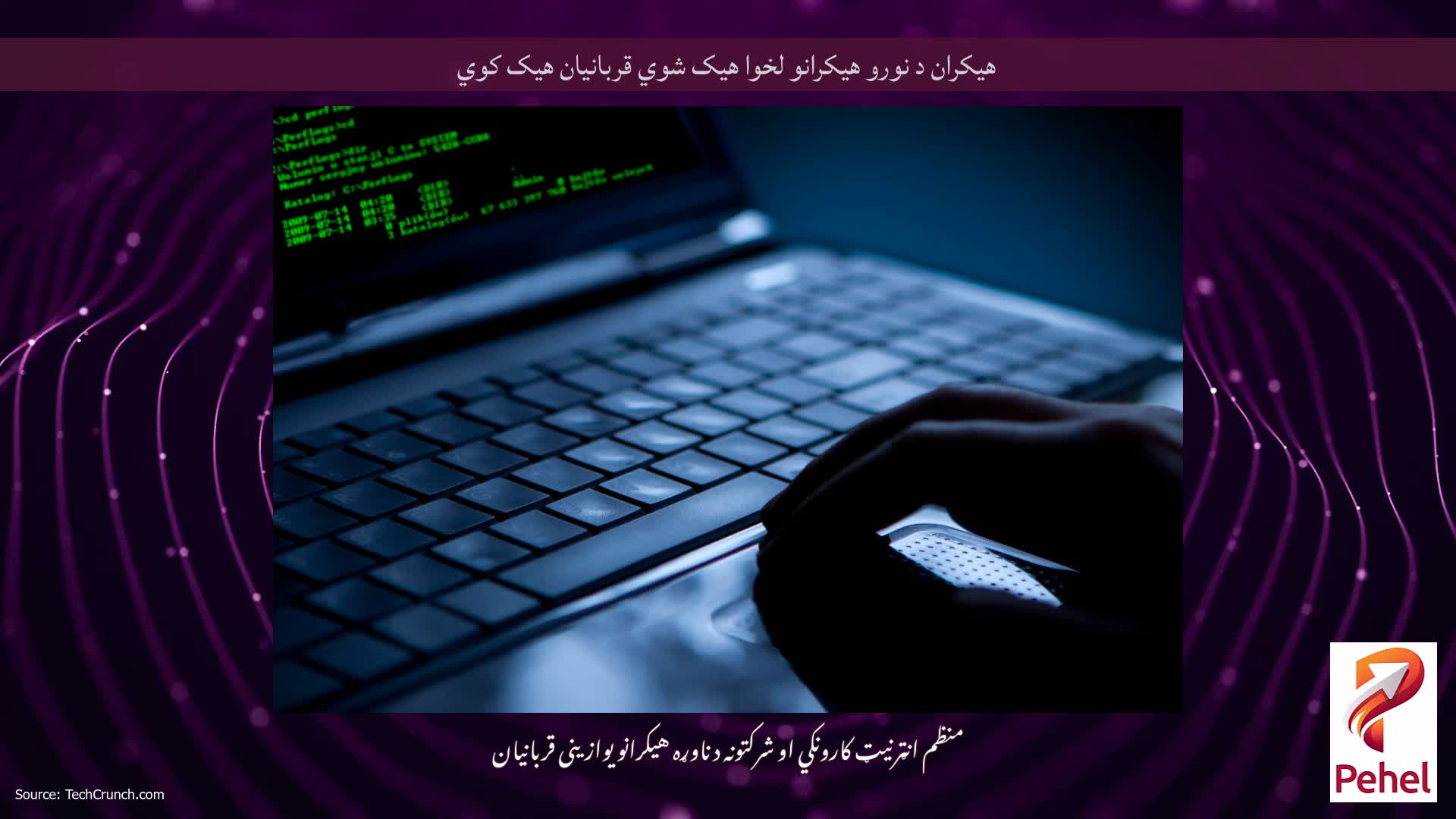 هیکران د نورو هیکرانو لخوا هیک شوي قربانیان هیک کوي