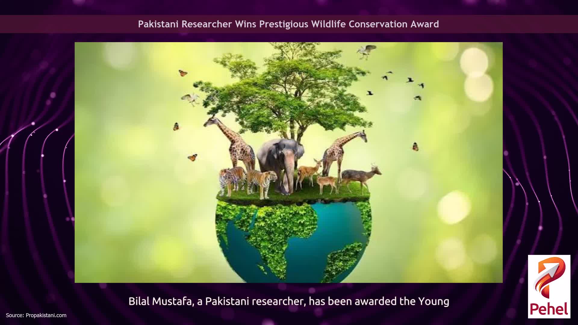 Pakistani Researcher Wins Prestigious Wildlife Conservation Award