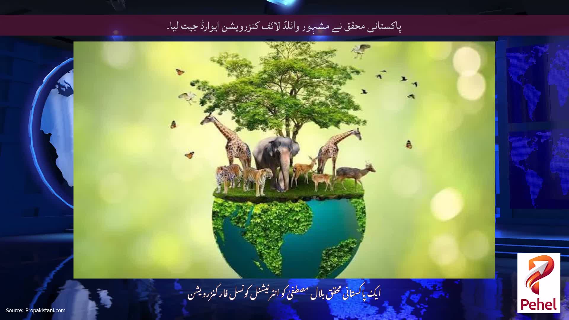 پاکستانی محقق نے مشہور وائلڈ لائف کنزرویشن ایوارڈ جیت لیا۔