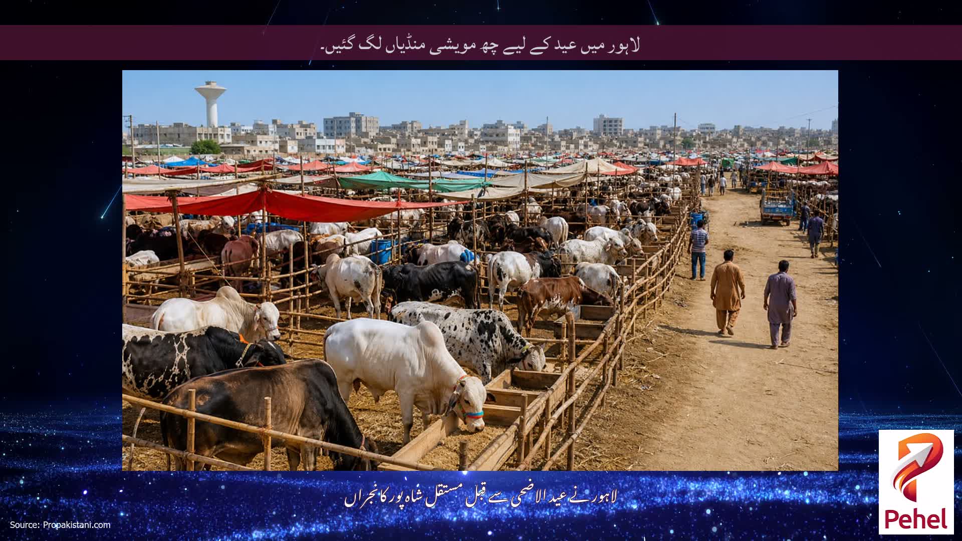 لاہور میں عید کے لیے چھ مویشی منڈیاں لگ گئیں۔