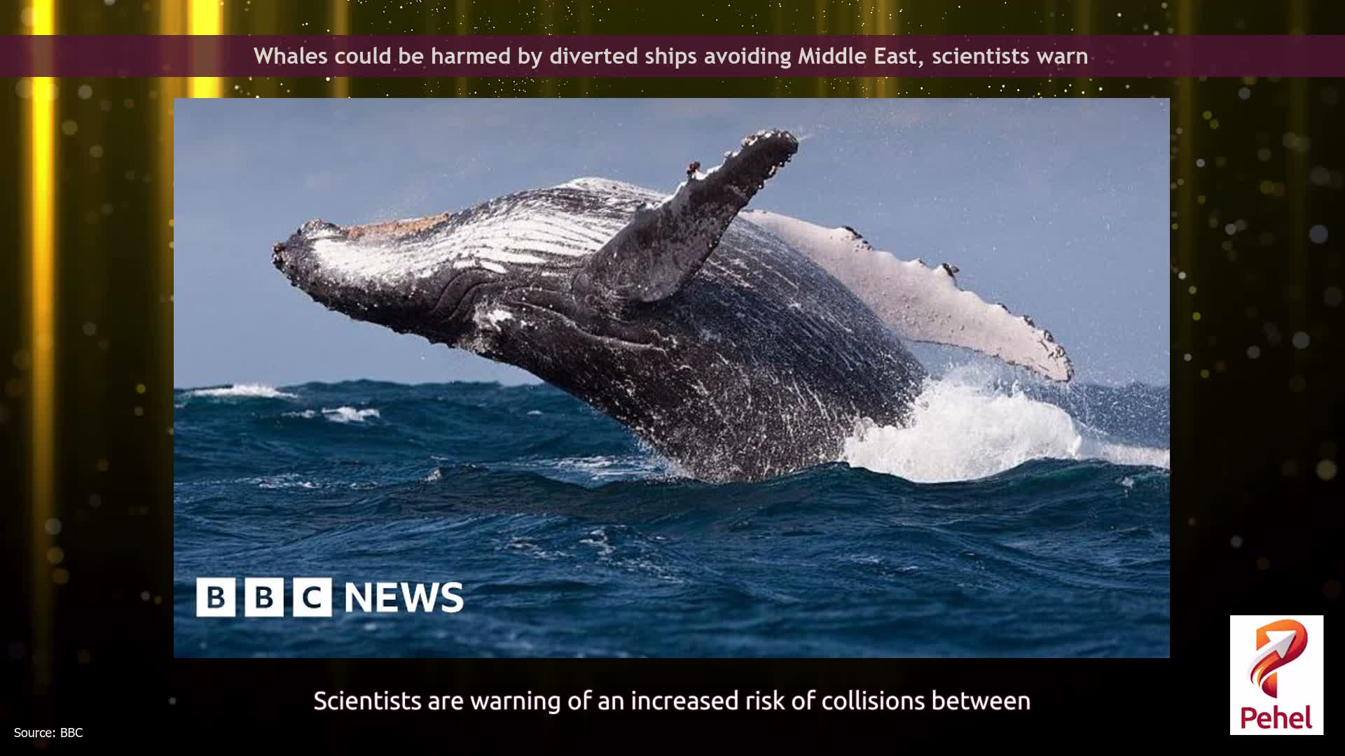 Whales could be harmed by diverted ships avoiding Middle East, scientists warn