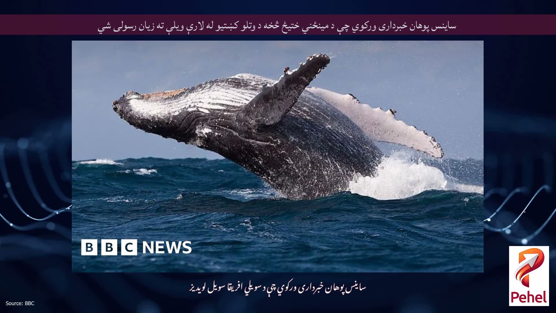 ساینس پوهان خبرداری ورکوي چې د مینځني ختیځ څخه د وتلو کښتیو له لارې ویلې ته زیان رسولی شي