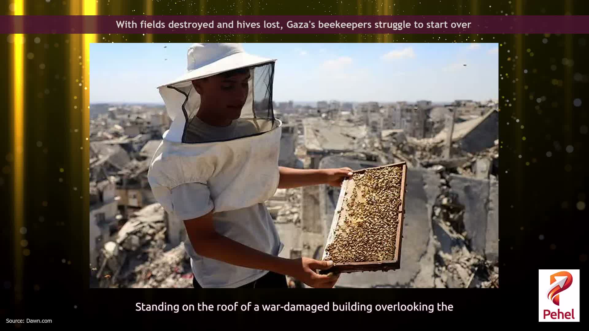 With fields destroyed and hives lost, Gaza's beekeepers struggle to start over