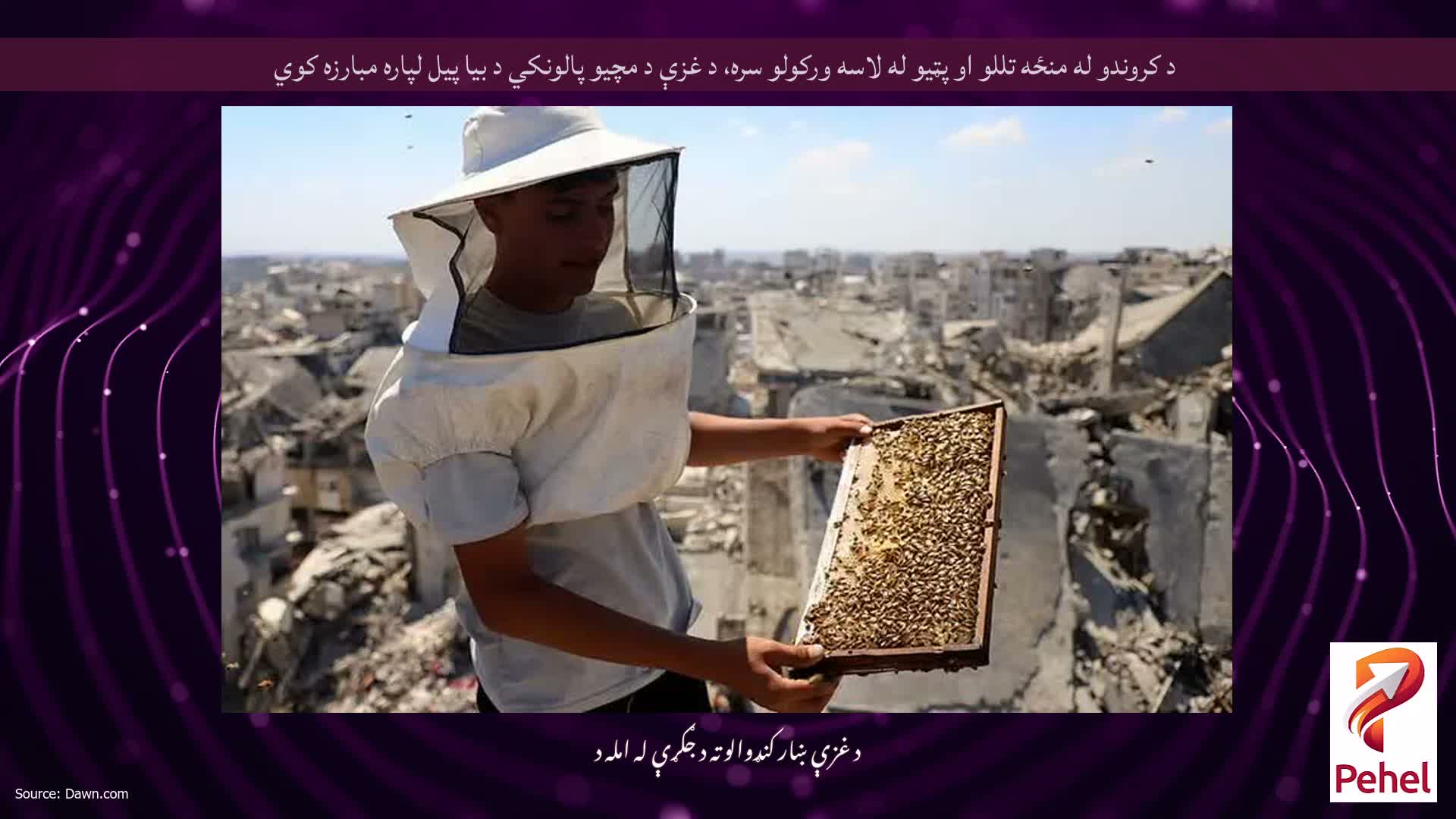 د کروندو له منځه تللو او پټیو له لاسه ورکولو سره، د غزې د مچیو پالونکي د بیا پیل لپاره مبارزه کوي