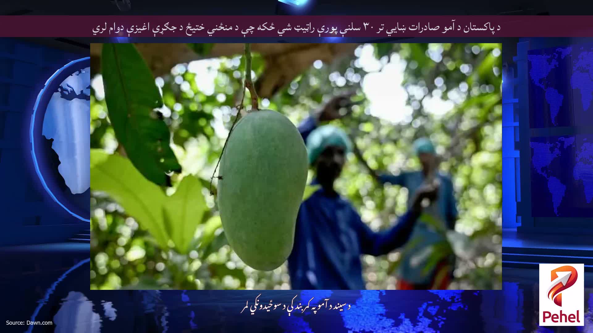 د پاکستان د آمو صادرات ښايي تر ۳۰ سلنې پورې راټیټ شي ځکه چې د منځني ختیځ د جګړې اغیزې دوام لري