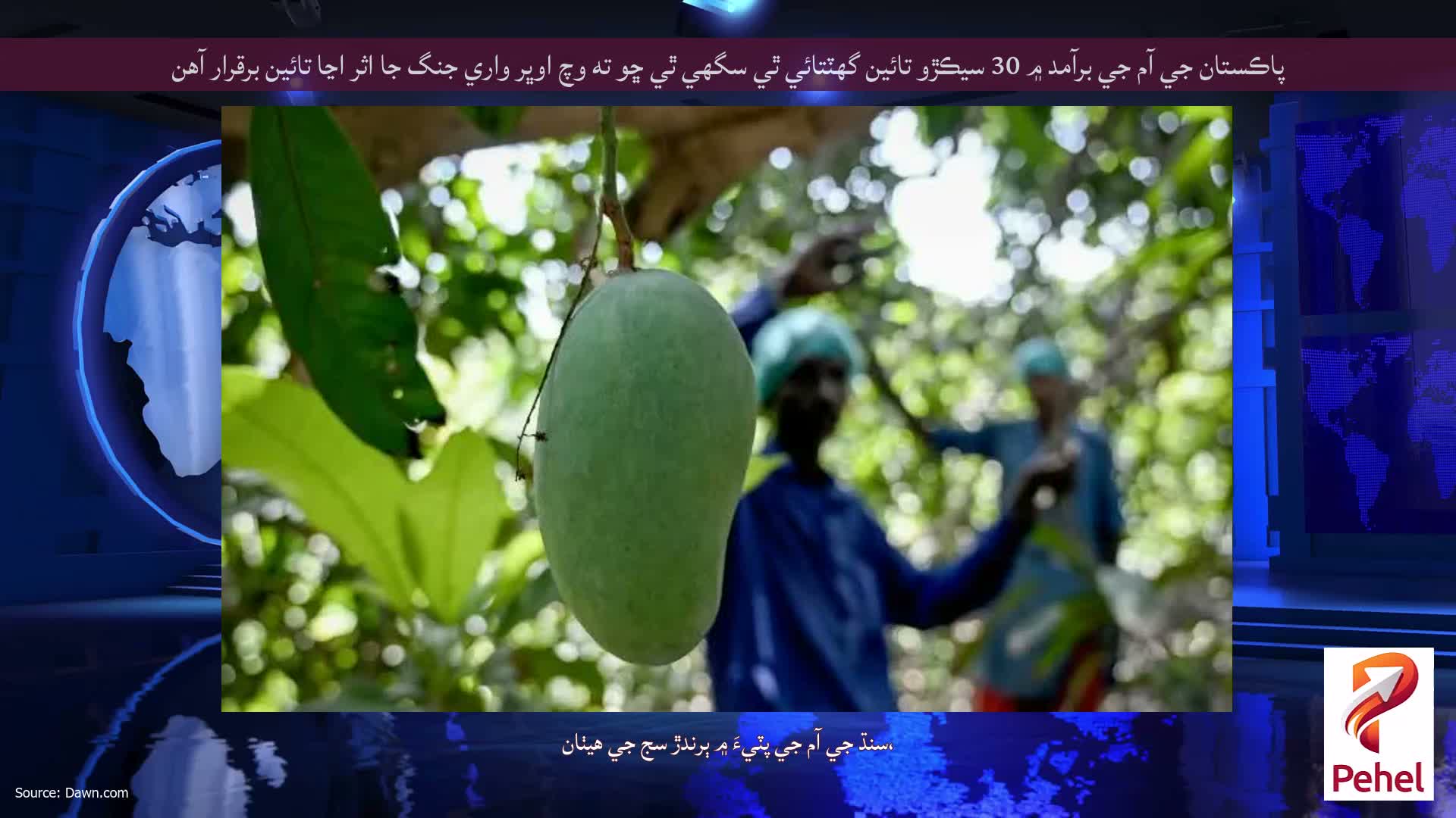 پاڪستان جي آم جي برآمد ۾ 30 سيڪڙو تائين گهٽتائي ٿي سگهي ٿي ڇو ته وچ اوڀر واري جنگ جا اثر اڃا تائين برقرار آهن