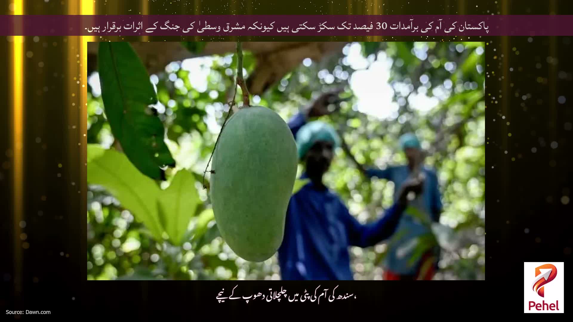 پاکستان کی آم کی برآمدات 30 فیصد تک سکڑ سکتی ہیں کیونکہ مشرق وسطیٰ کی جنگ کے اثرات برقرار ہیں۔