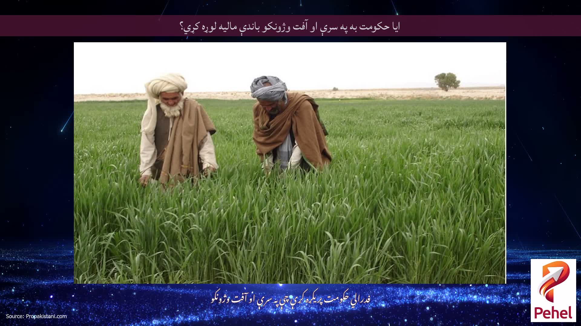 ایا حکومت به په سرې او آفت وژونکو باندې مالیه لوړه کړي؟