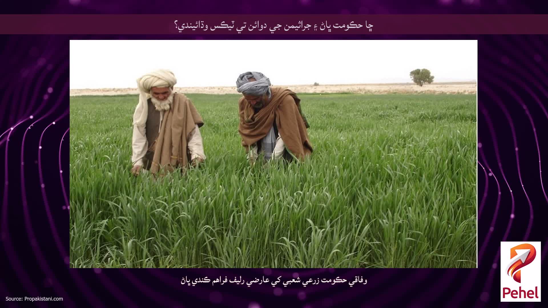 ڇا حڪومت ڀاڻ ۽ جراثيمن جي دوائن تي ٽيڪس وڌائيندي؟