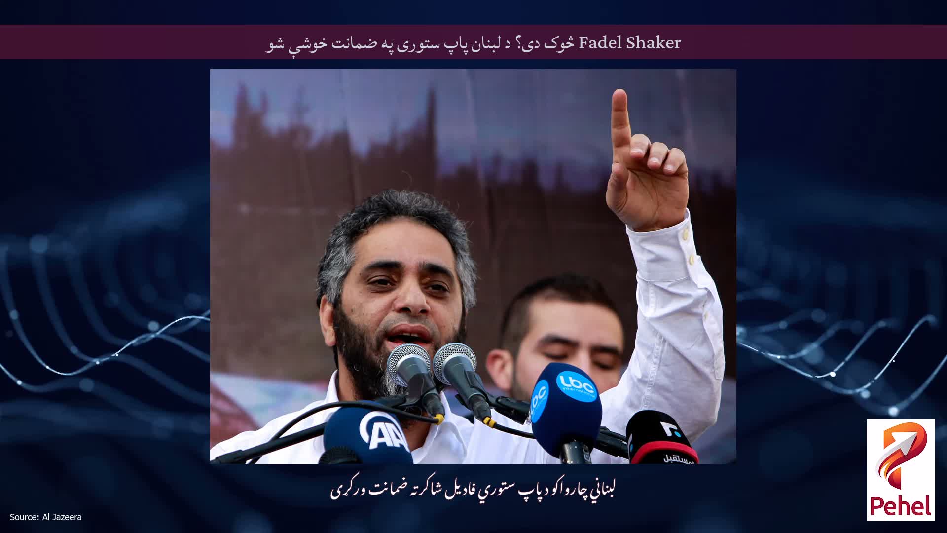 Fadel Shaker څوک دی؟ د لبنان پاپ ستوری په ضمانت خوشې شو