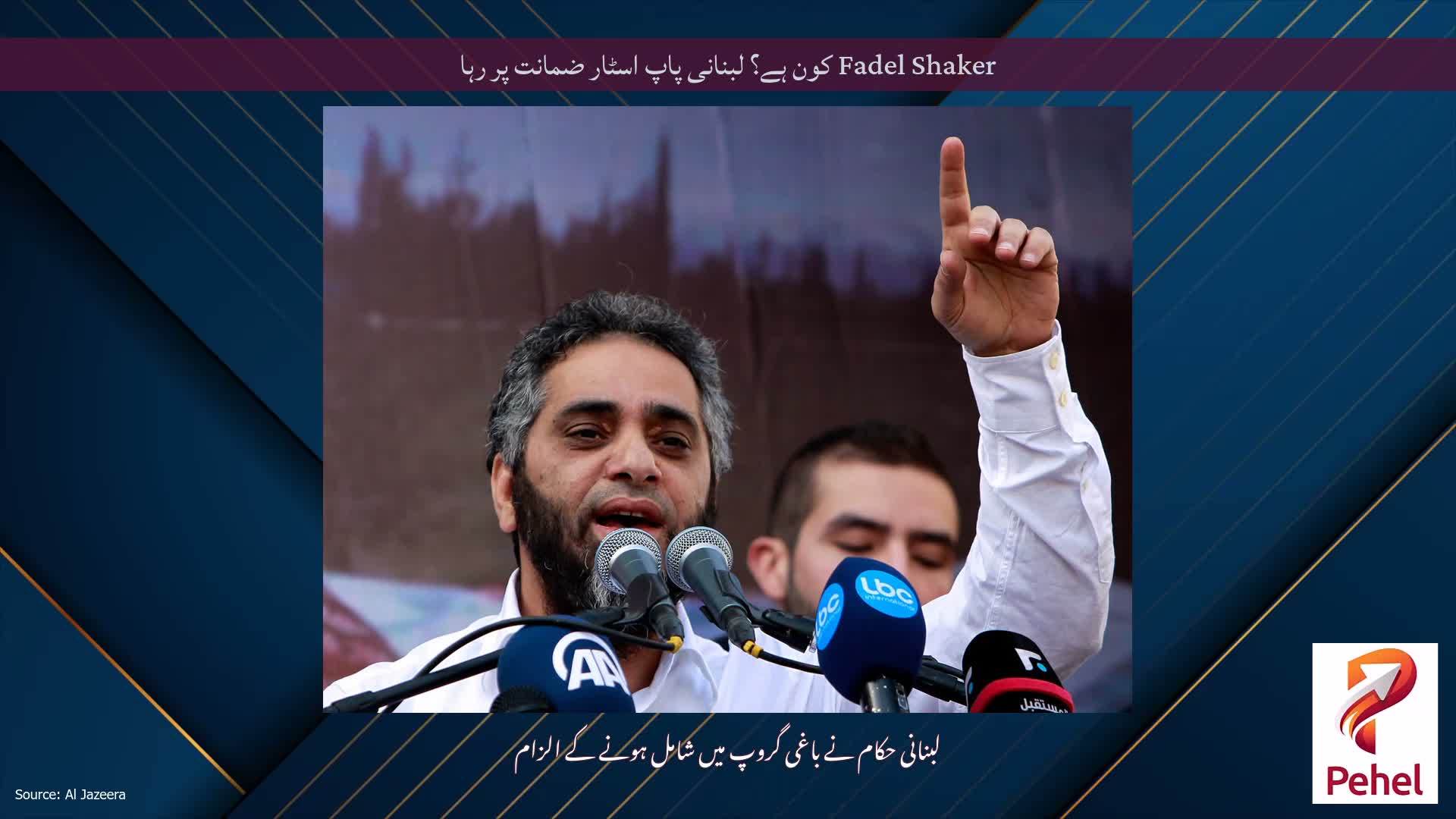 Fadel Shaker کون ہے؟ لبنانی پاپ اسٹار ضمانت پر رہا