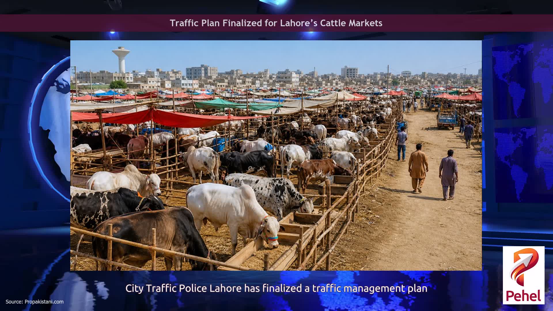 Traffic Plan Finalized for Lahore’s Cattle Markets