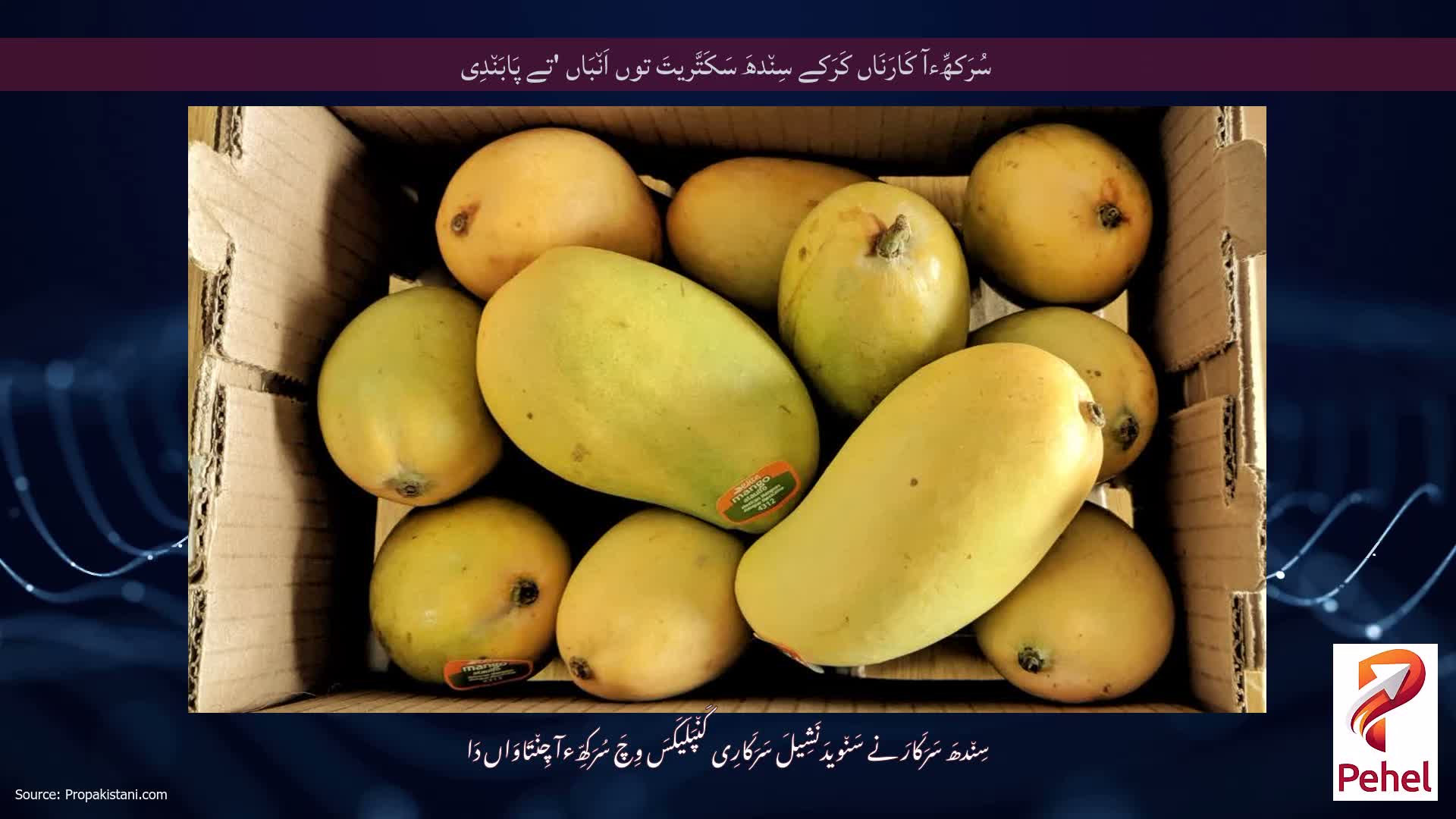 سُرَکھِّءآ کَارَنَاں کَرَکے سِن٘دھَ سَکَتَّریتَ توں اَن٘بَاں 'تے پَابَن٘دِی