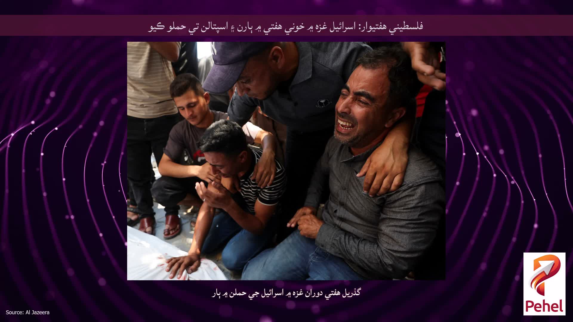 فلسطيني هفتيوار: اسرائيل غزه ۾ خوني هفتي ۾ ٻارن ۽ اسپتالن تي حملو ڪيو