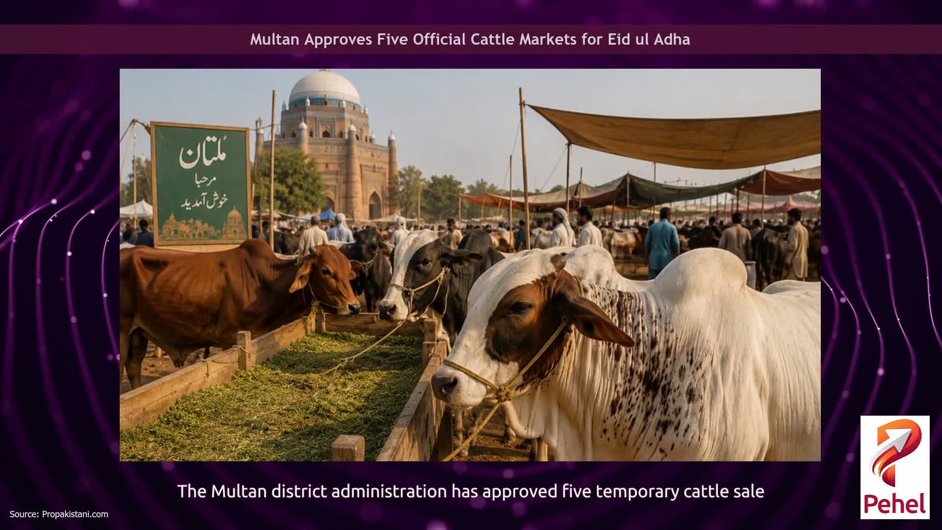 Multan Approves Five Official Cattle Markets for Eid ul Adha