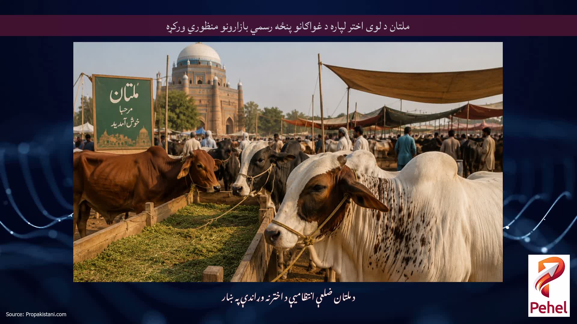 ملتان د لوی اختر لپاره د غواګانو پنځه رسمي بازارونو منظوري ورکړه