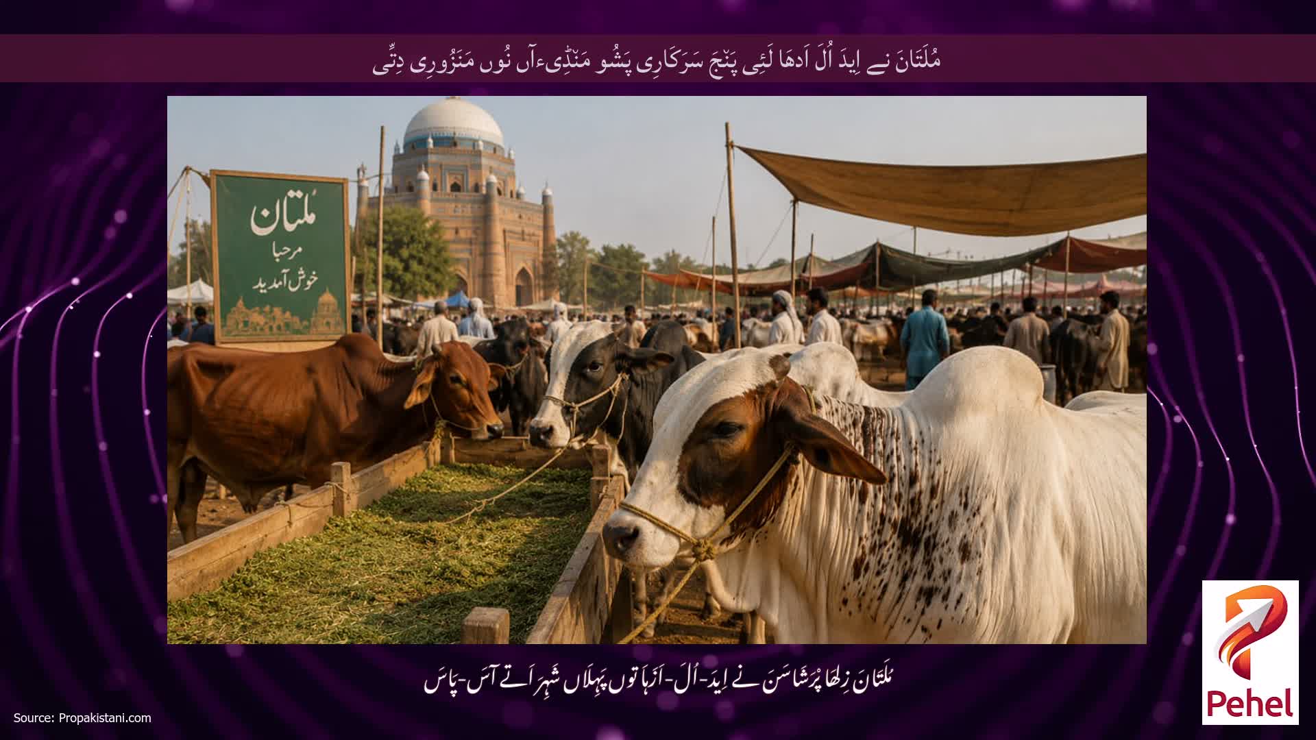 مُلَتَانَ نے اِیدَ اُلَ اَدھَا لَئِی پَن٘جَ سَرَکَارِی پَشُو مَن٘ڈِیءآں نُوں مَنَزُورِی دِتِّی