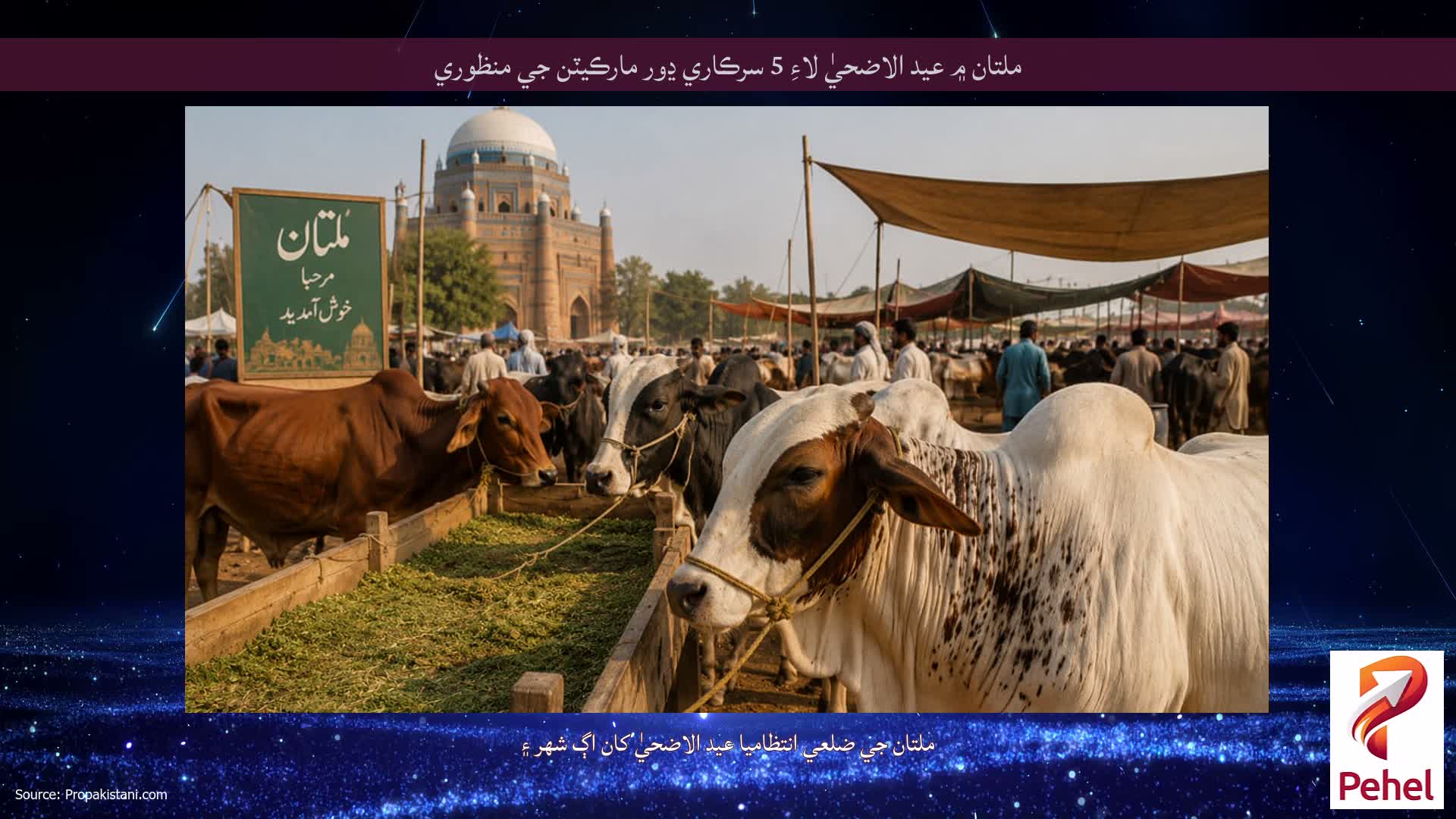 ملتان ۾ عيد الاضحيٰ لاءِ 5 سرڪاري ڍور مارڪيٽن جي منظوري
