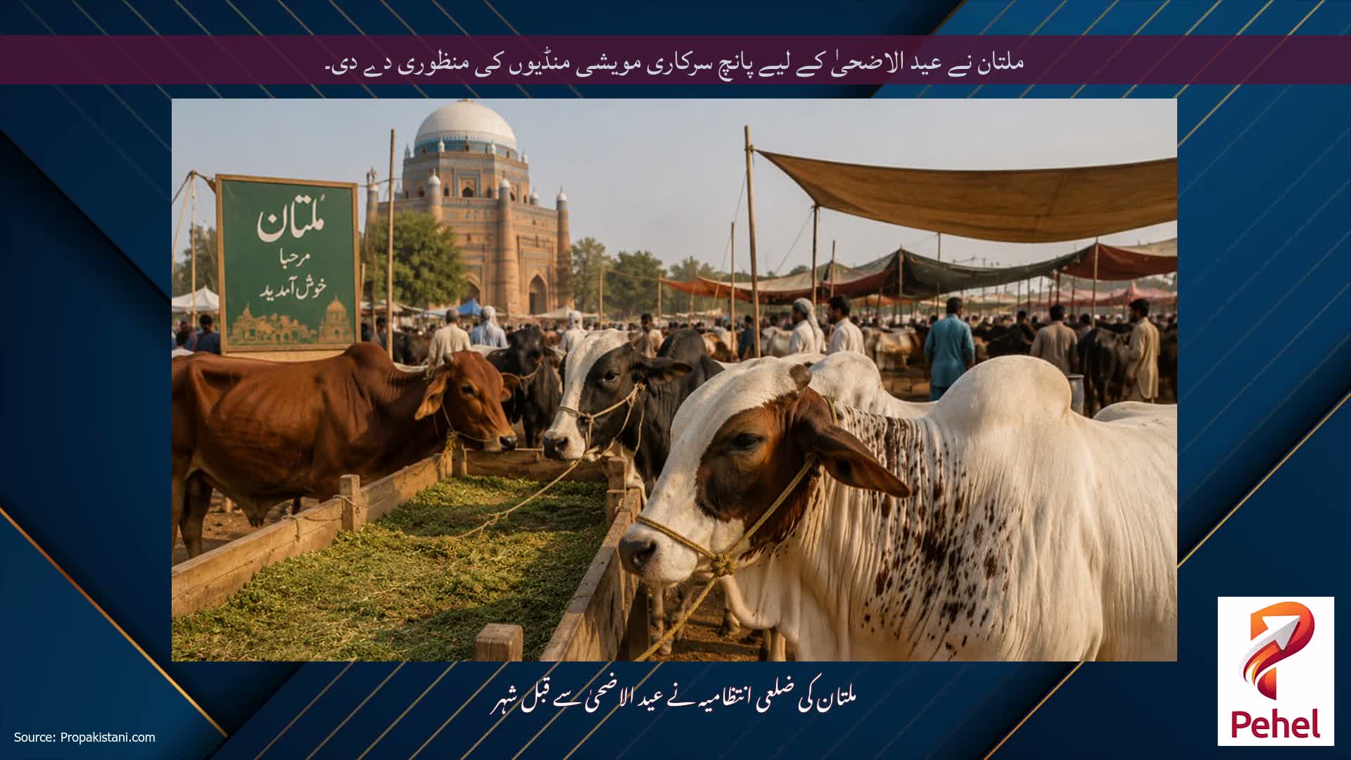 ملتان نے عید الاضحیٰ کے لیے پانچ سرکاری مویشی منڈیوں کی منظوری دے دی۔