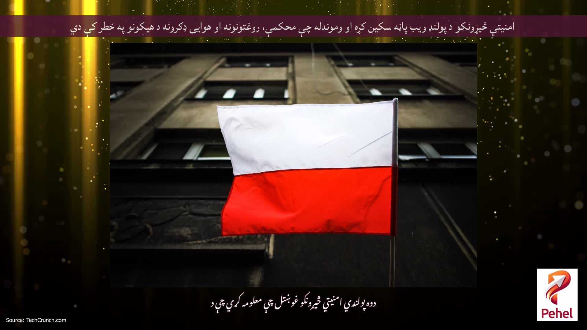 امنیتي څیړونکو د پولنډ ویب پاڼه سکین کړه او وموندله چې محکمې، روغتونونه او هوایی ډګرونه د هیکونو په خطر کې دي