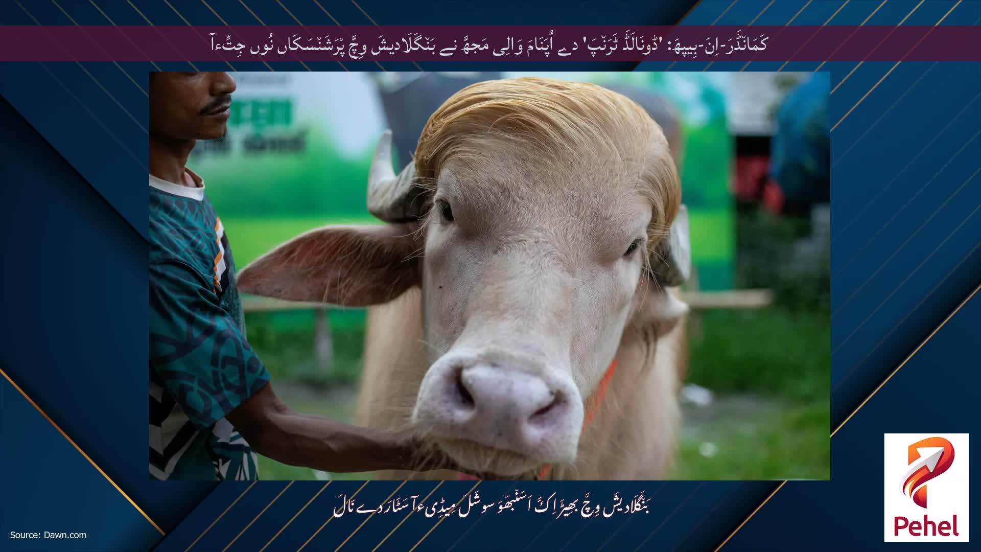 کَمَان٘ڈَرَ-اِنَ-بِیپھَ: 'ڈونَالَڈَ ٹَرَن٘پَ' دے اُپَنَامَ وَالِی مَجھَّ نے بَن٘گَلَادیشَ وِچَّ پْرَشَن٘سَکَاں نُوں جِتِّءآ