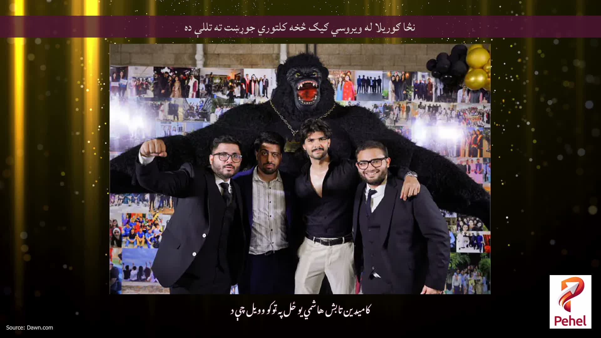 نڅا ګوریلا له ویروسي ګیګ څخه کلتوري جوړښت ته تللې ده