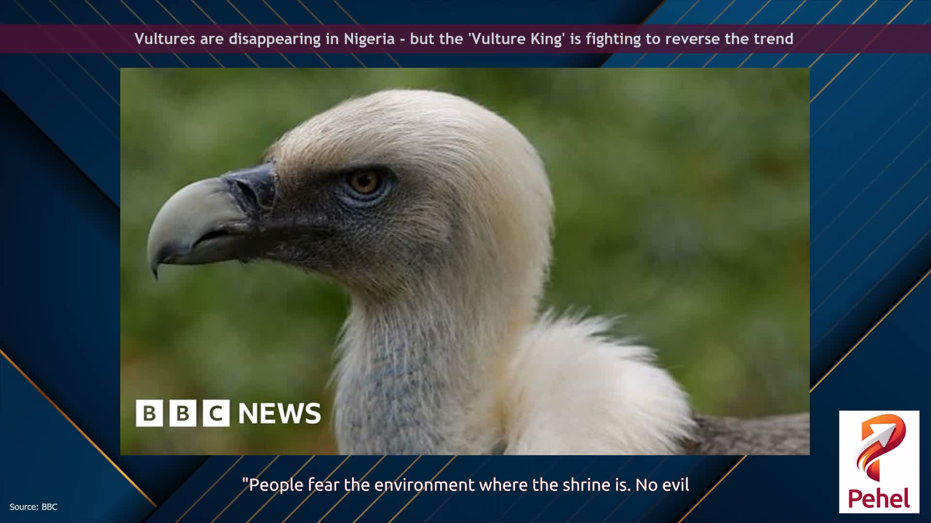 Vultures are disappearing in Nigeria - but the 'Vulture King' is fighting to reverse the trend