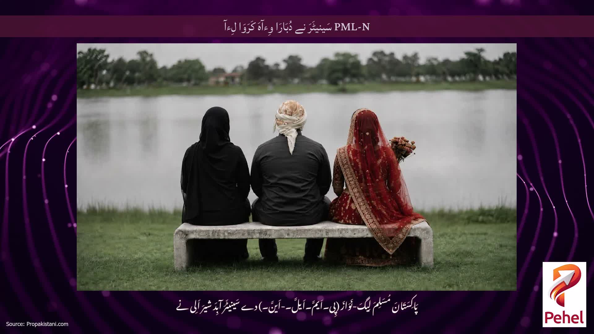 PML-N سَینیٹَرَ نے دُبَارَا وِءآہَ کَرَوَا لِءآ