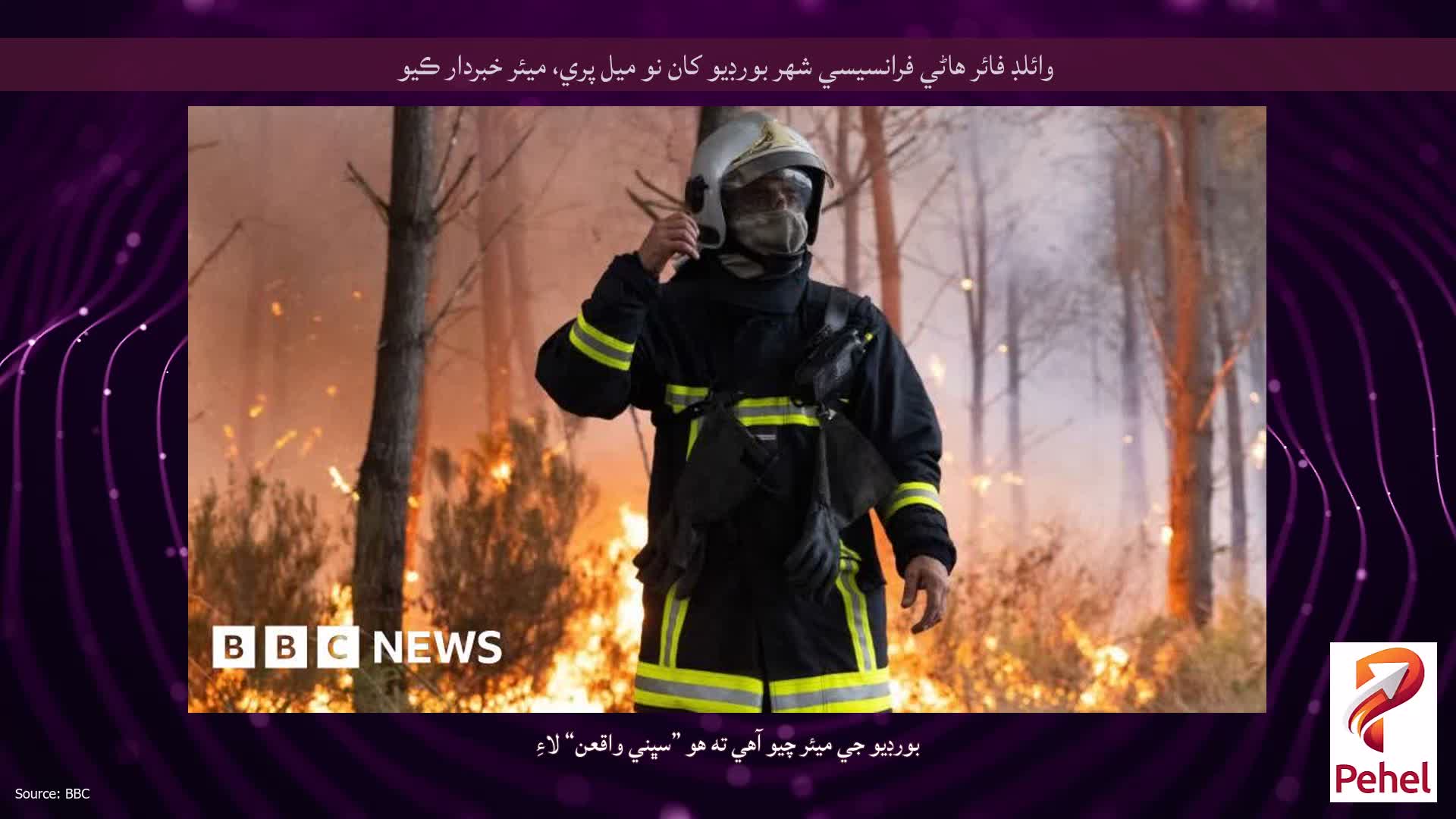 وائلڊ فائر هاڻي فرانسيسي شهر بورڊيو کان نو ميل پري، ميئر خبردار ڪيو
