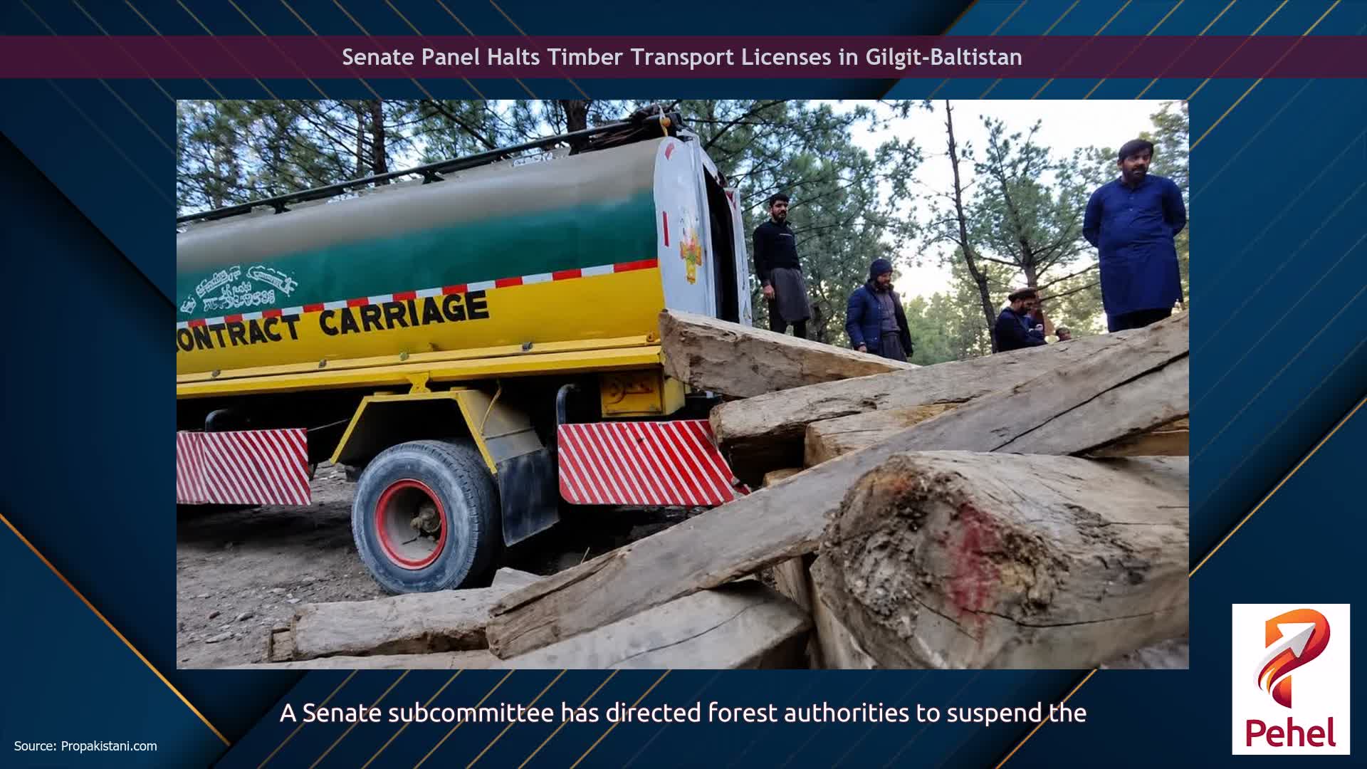 Senate Panel Halts Timber Transport Licenses in Gilgit-Baltistan