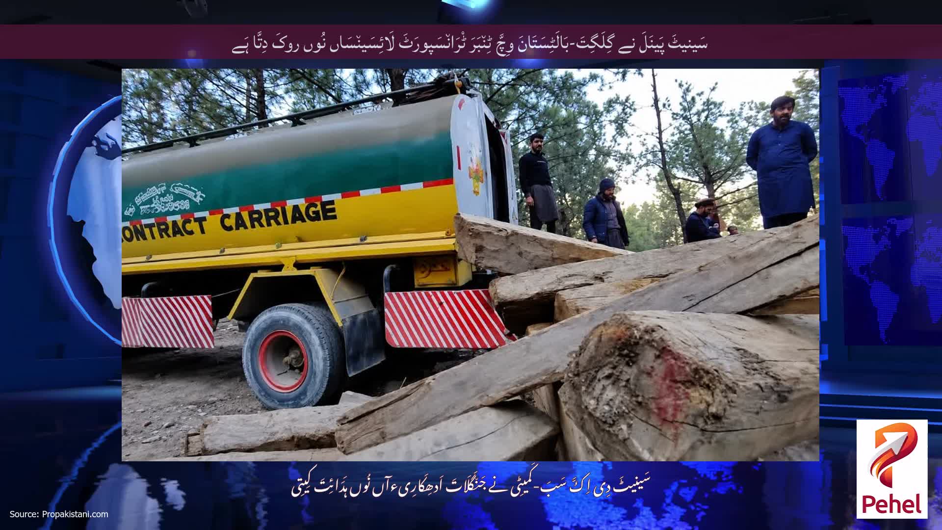 سَینیٹَ پَینَلَ نے گِلَگِتَ-بَالَٹِسَتَانَ وِچَّ ٹِن٘بَرَ ٹْرَان٘سَپورَٹَ لَائِسَین٘سَاں نُوں روکَ دِتَّا ہَے