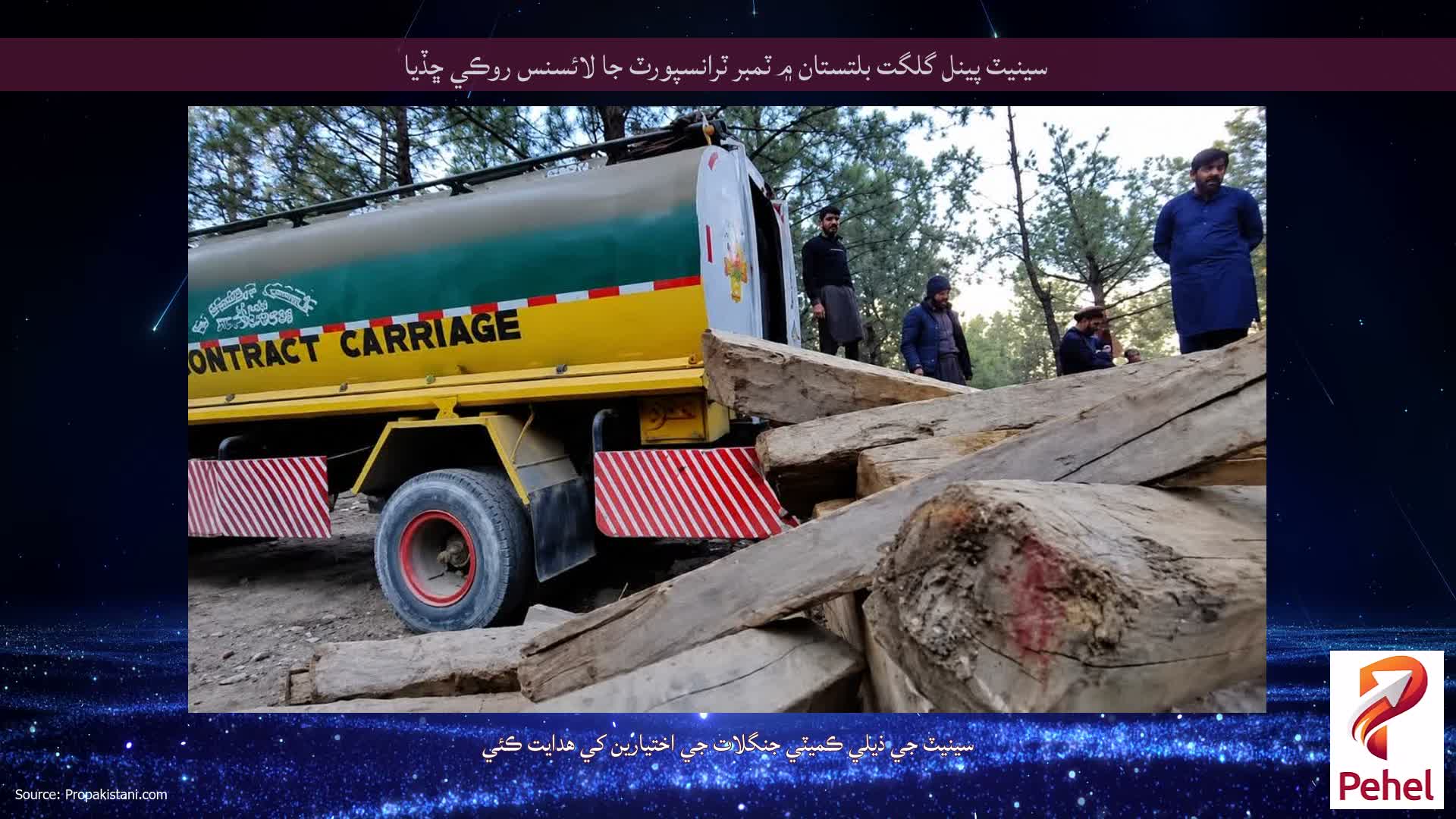 سينيٽ پينل گلگت بلتستان ۾ ٽمبر ٽرانسپورٽ جا لائسنس روڪي ڇڏيا