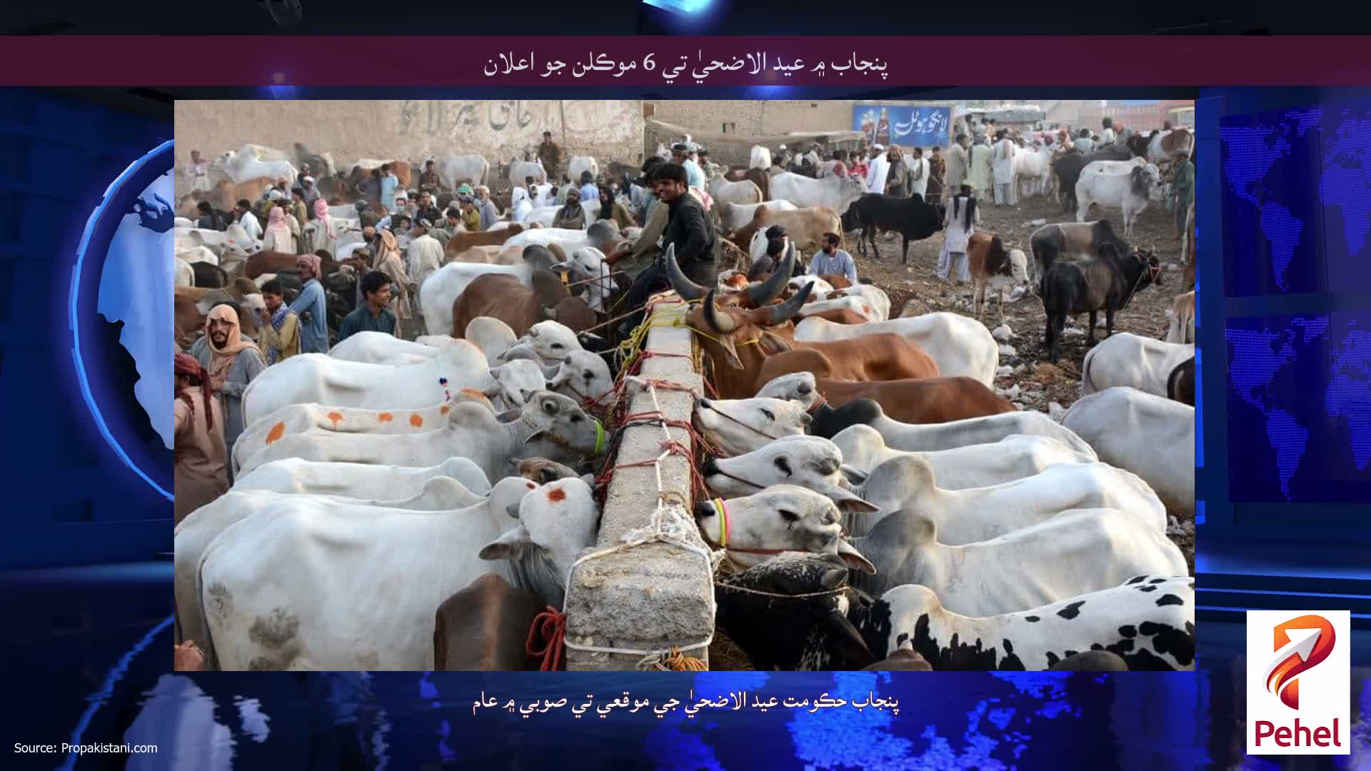 پنجاب ۾ عيد الاضحيٰ تي 6 موڪلن جو اعلان
