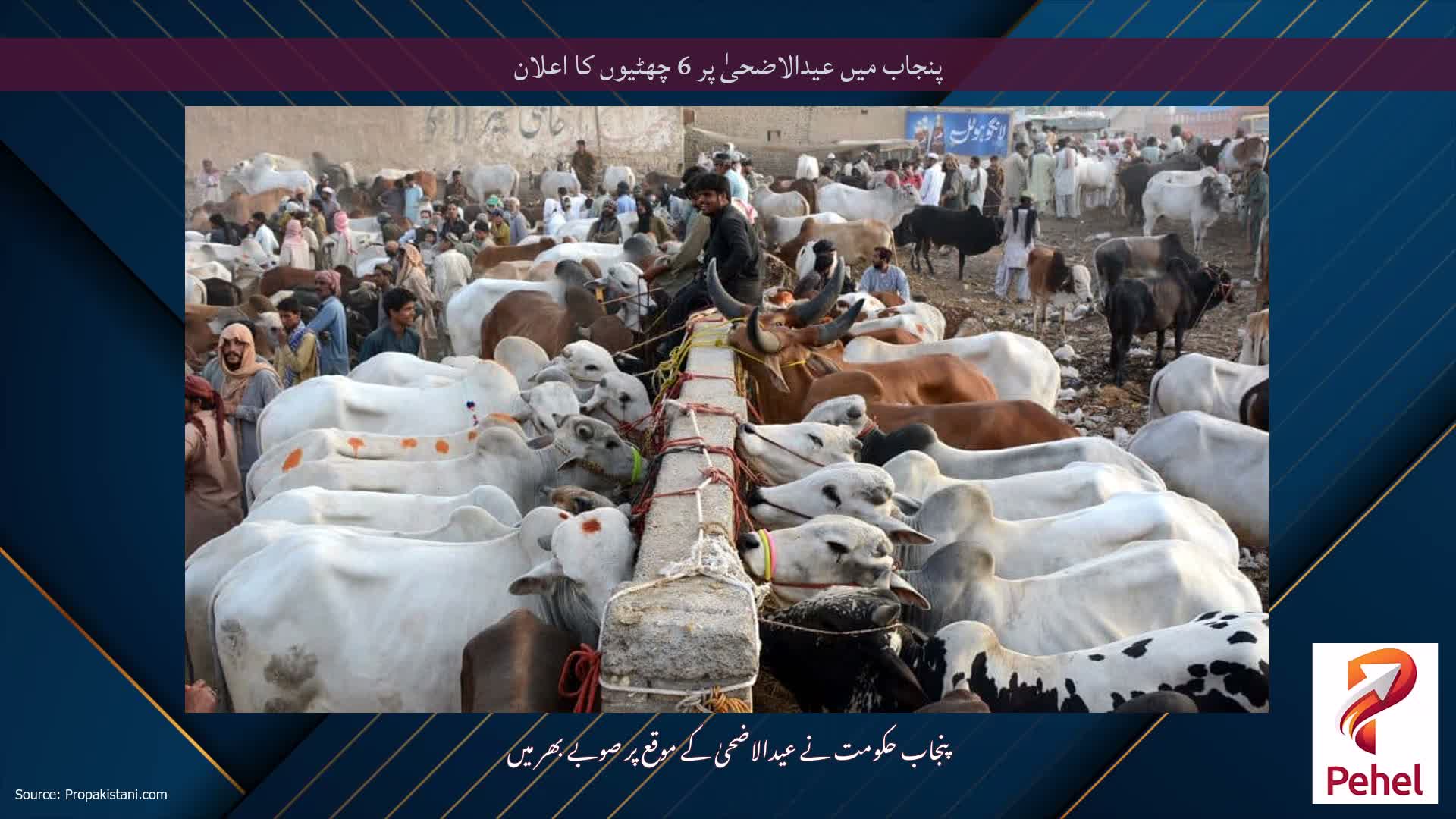 پنجاب میں عیدالاضحیٰ پر 6 چھٹیوں کا اعلان