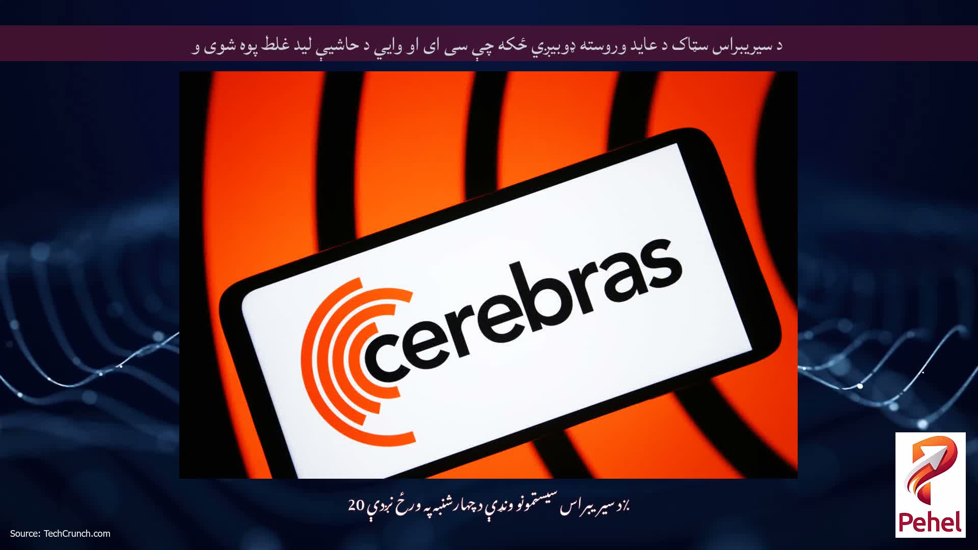 د سیریبراس سټاک د عاید وروسته ډوبیږي ځکه چې سی ای او وايي د حاشیې لید غلط پوه شوی و