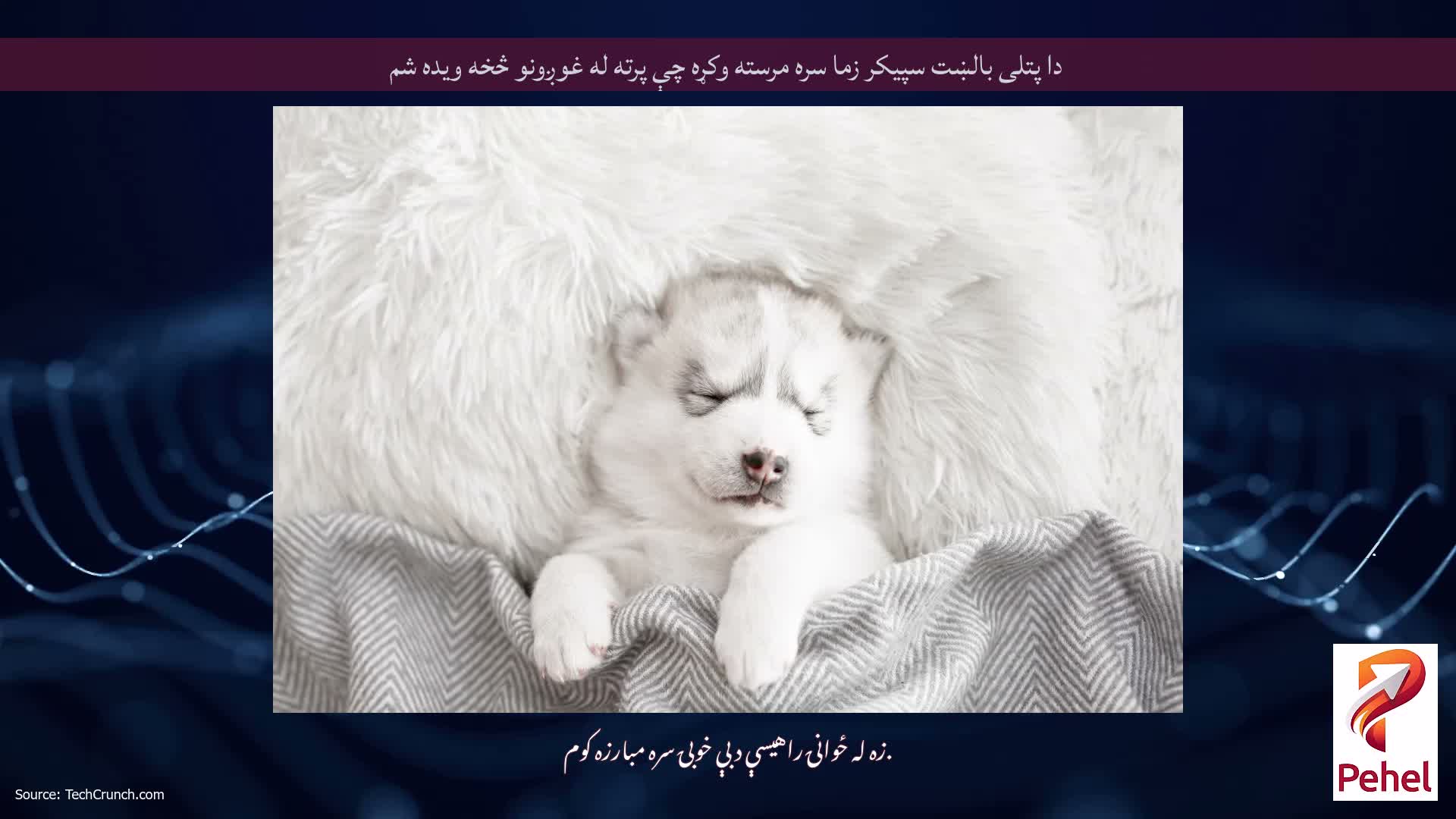 دا پتلی بالښت سپیکر زما سره مرسته وکړه چې پرته له غوږونو څخه ویده شم