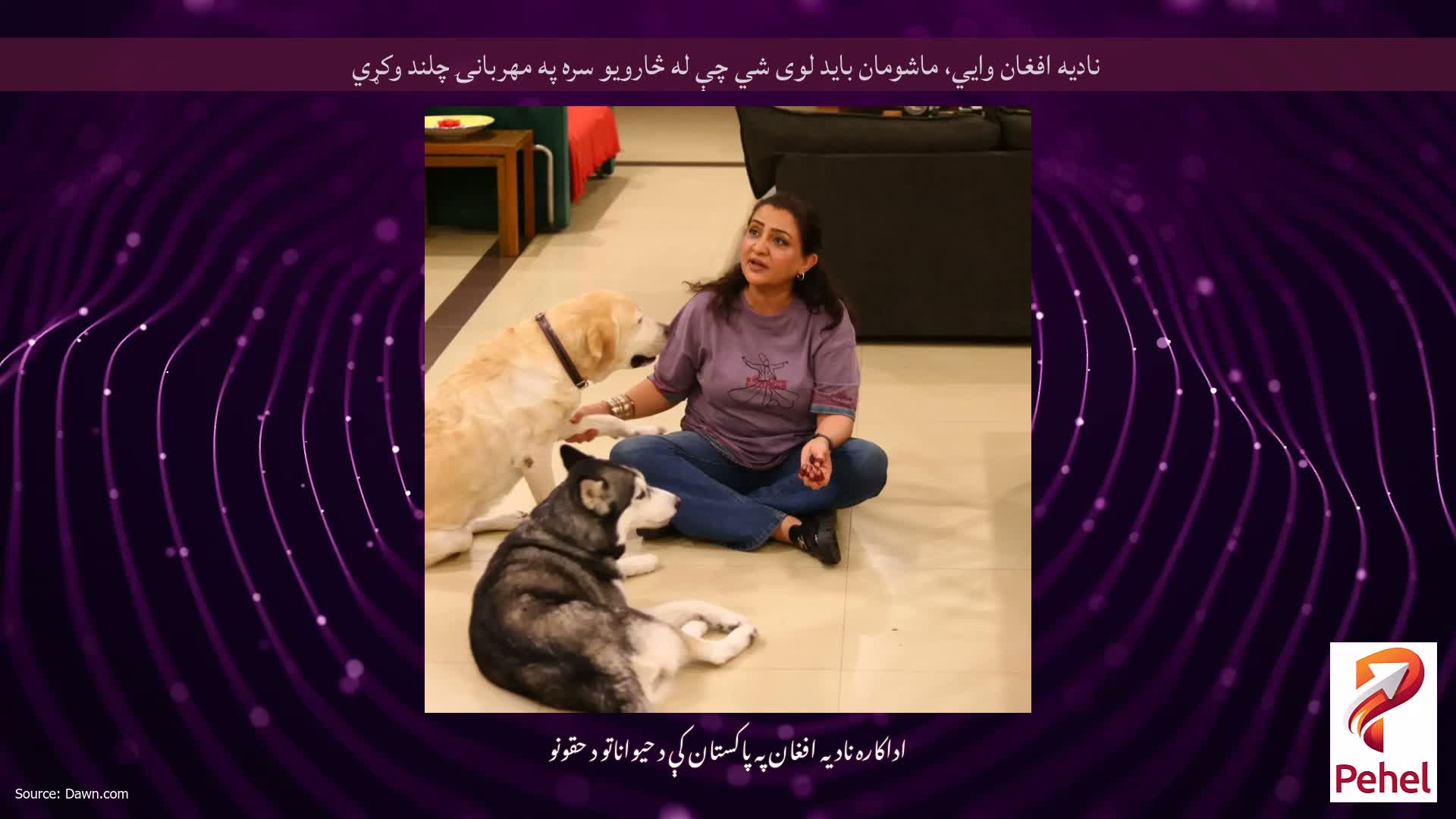 نادیه افغان وايي، ماشومان باید لوی شي چې له څارویو سره په مهربانۍ چلند وکړي