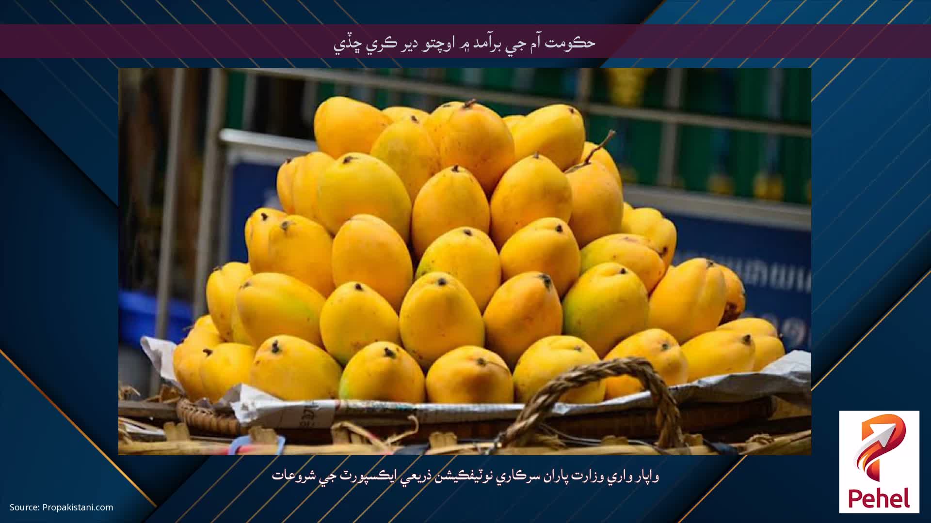 حڪومت آم جي برآمد ۾ اوچتو دير ڪري ڇڏي