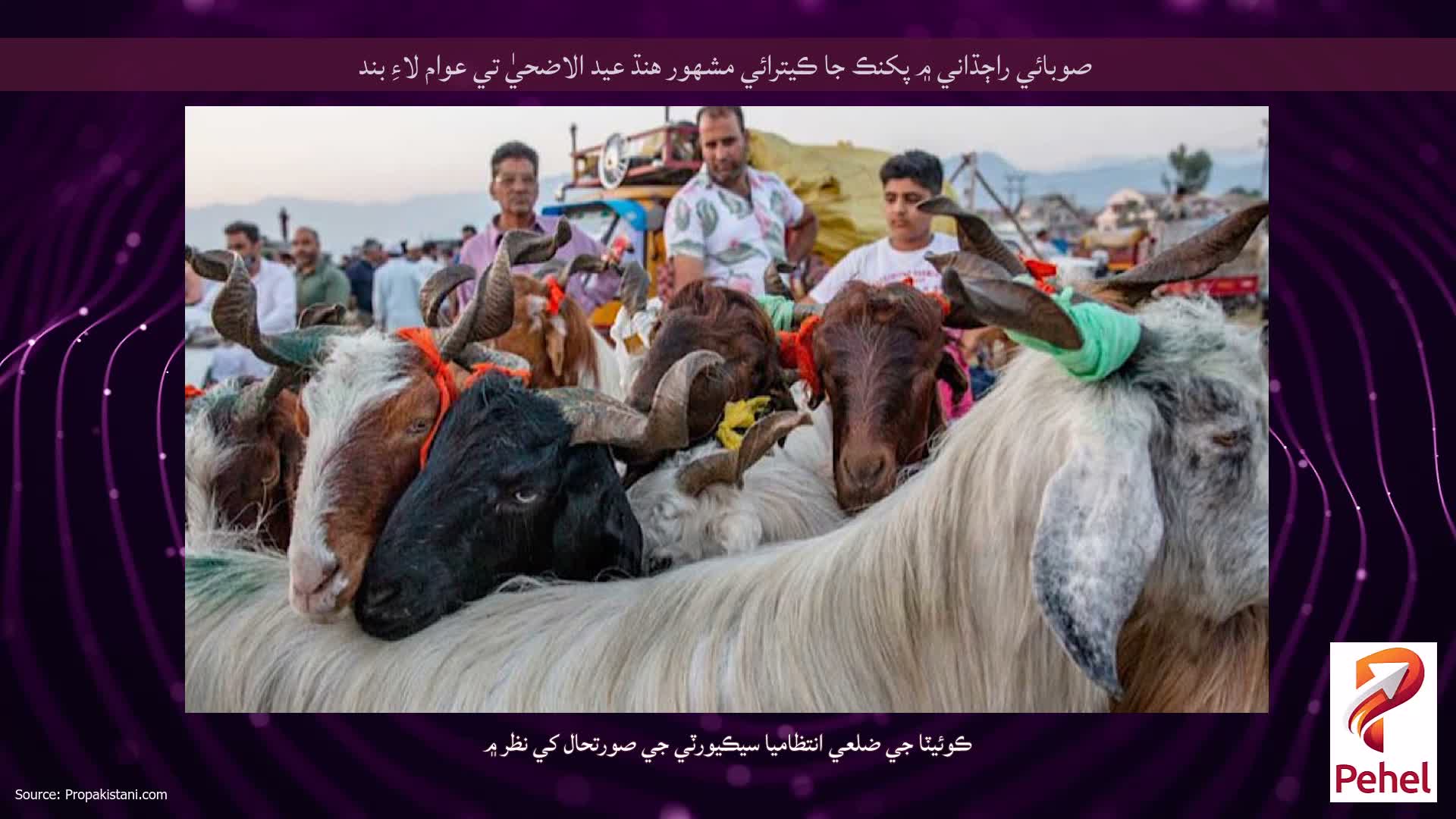 صوبائي راڄڌاني ۾ پکنڪ جا ڪيترائي مشهور هنڌ عيد الاضحيٰ تي عوام لاءِ بند